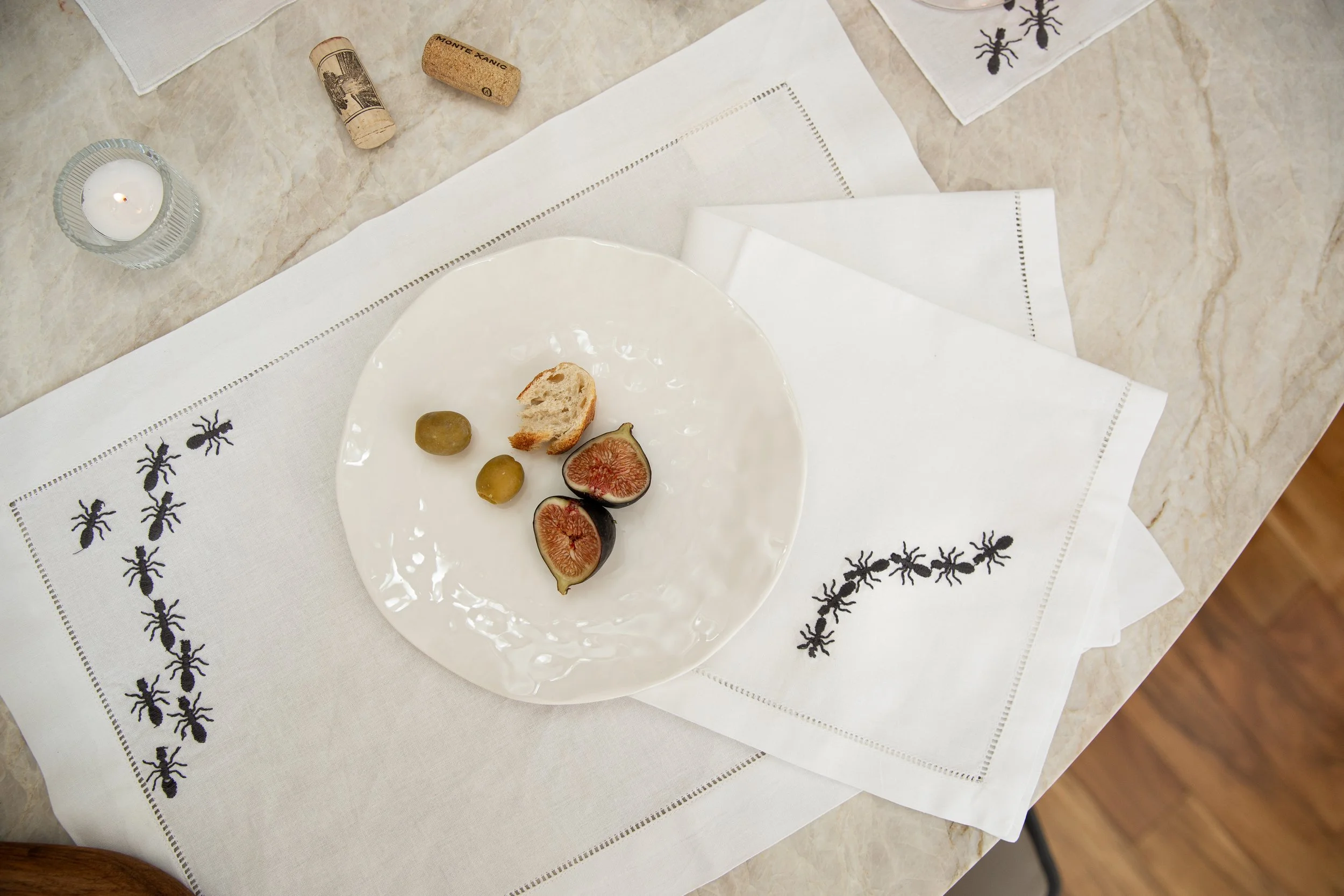 individual hormigas.jpg