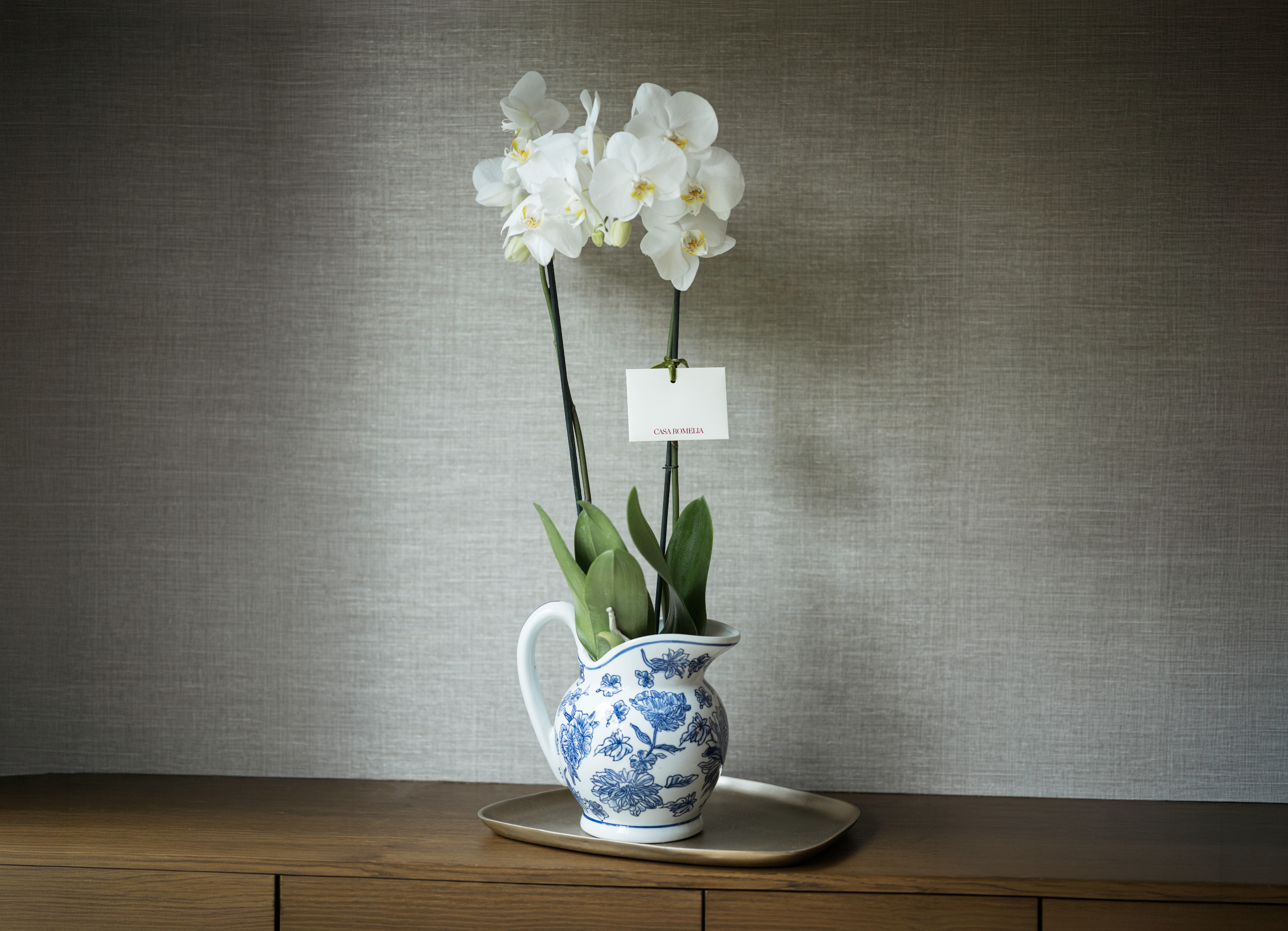ORQUÍDEA PHALAENOPSIS </br>Doble vara en jarra de porcelana artesanal