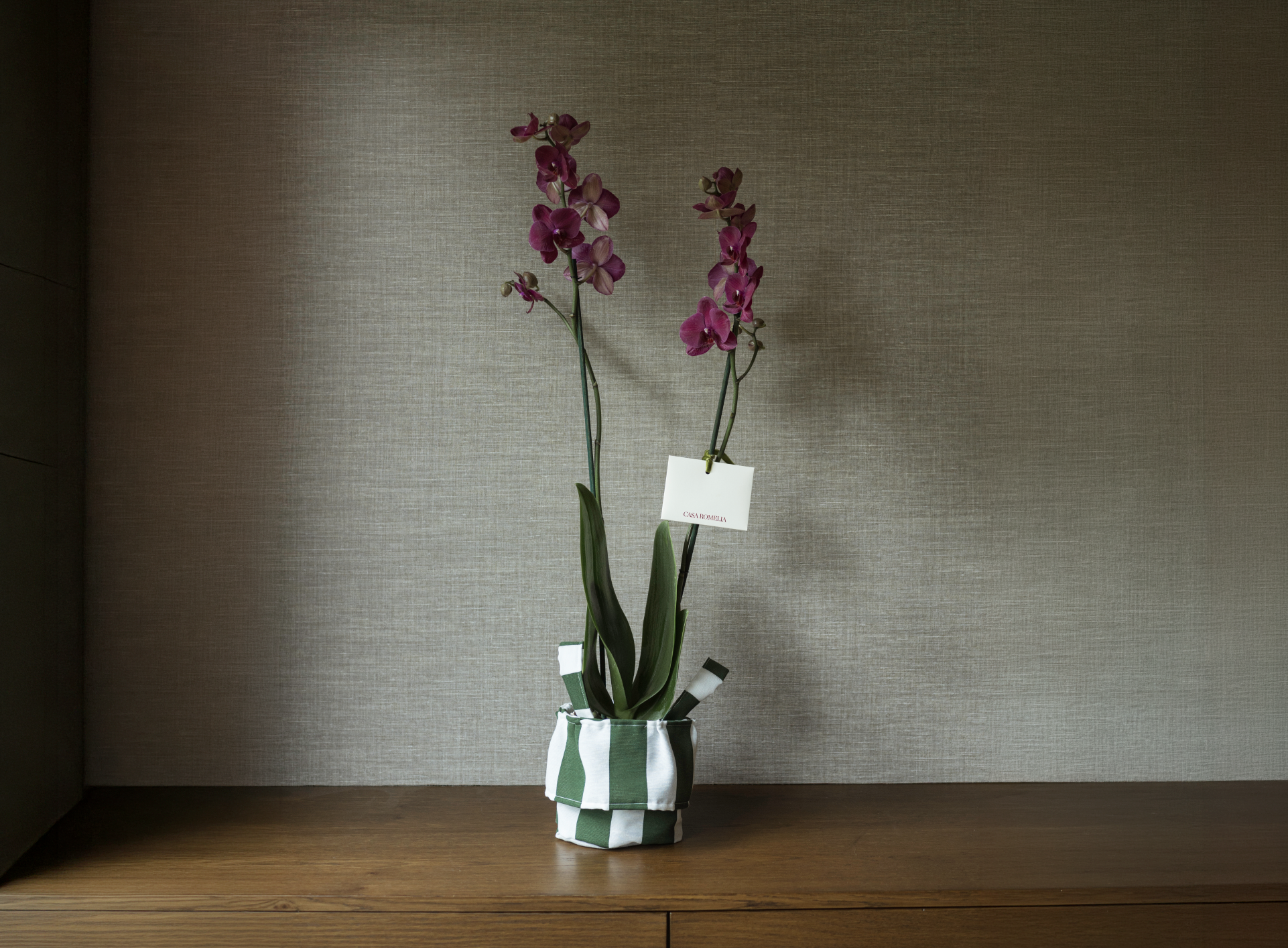 SIMONAS </br>6 servilletas hormiga + 6 individuales hormiga + 6 portavasos hormiga + 1 orquídea phalaeonpsis de doble vara en panera de algodón