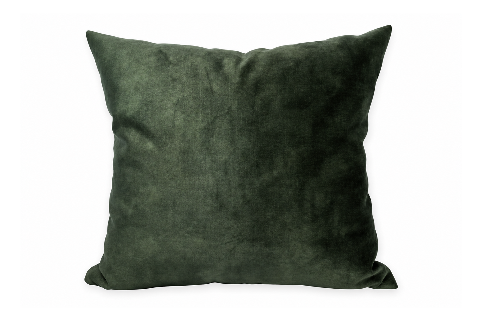 Lixus Musgo