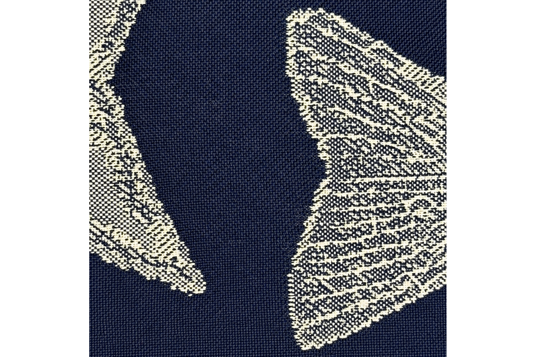 CorcegaPezMarino_2_3x2.png