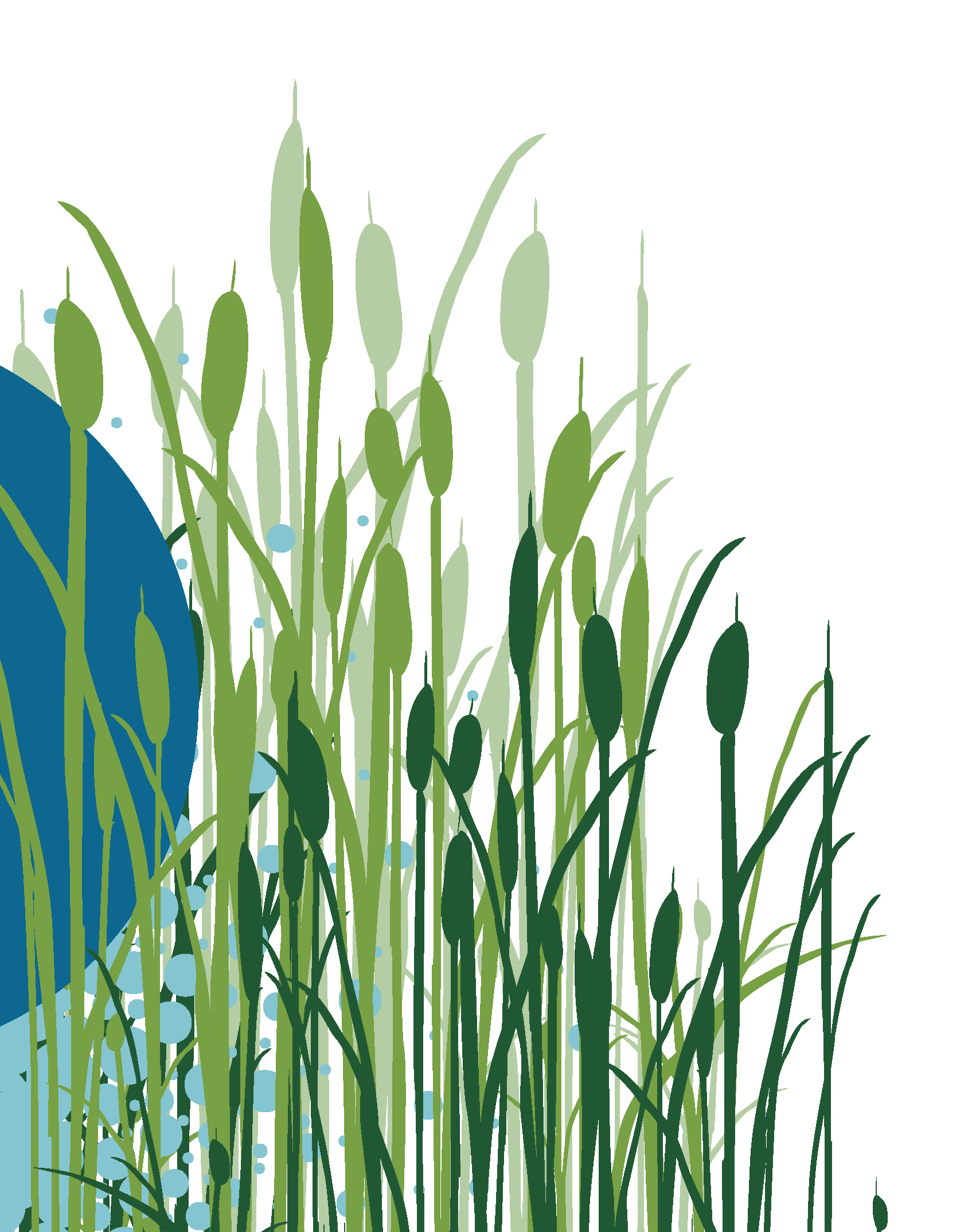 Illustration of tall green grass or reeds with seed heads, on a black background with some blue and light blue abstract shapes.