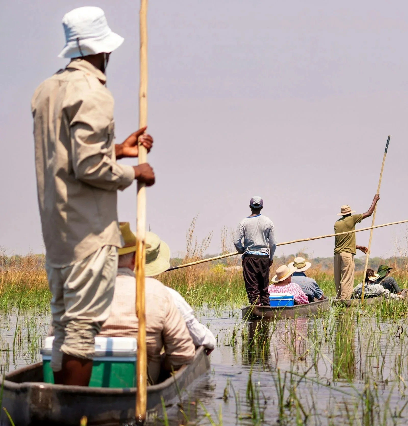 Mokoro safari through the Okavango Delta with a local guide.
