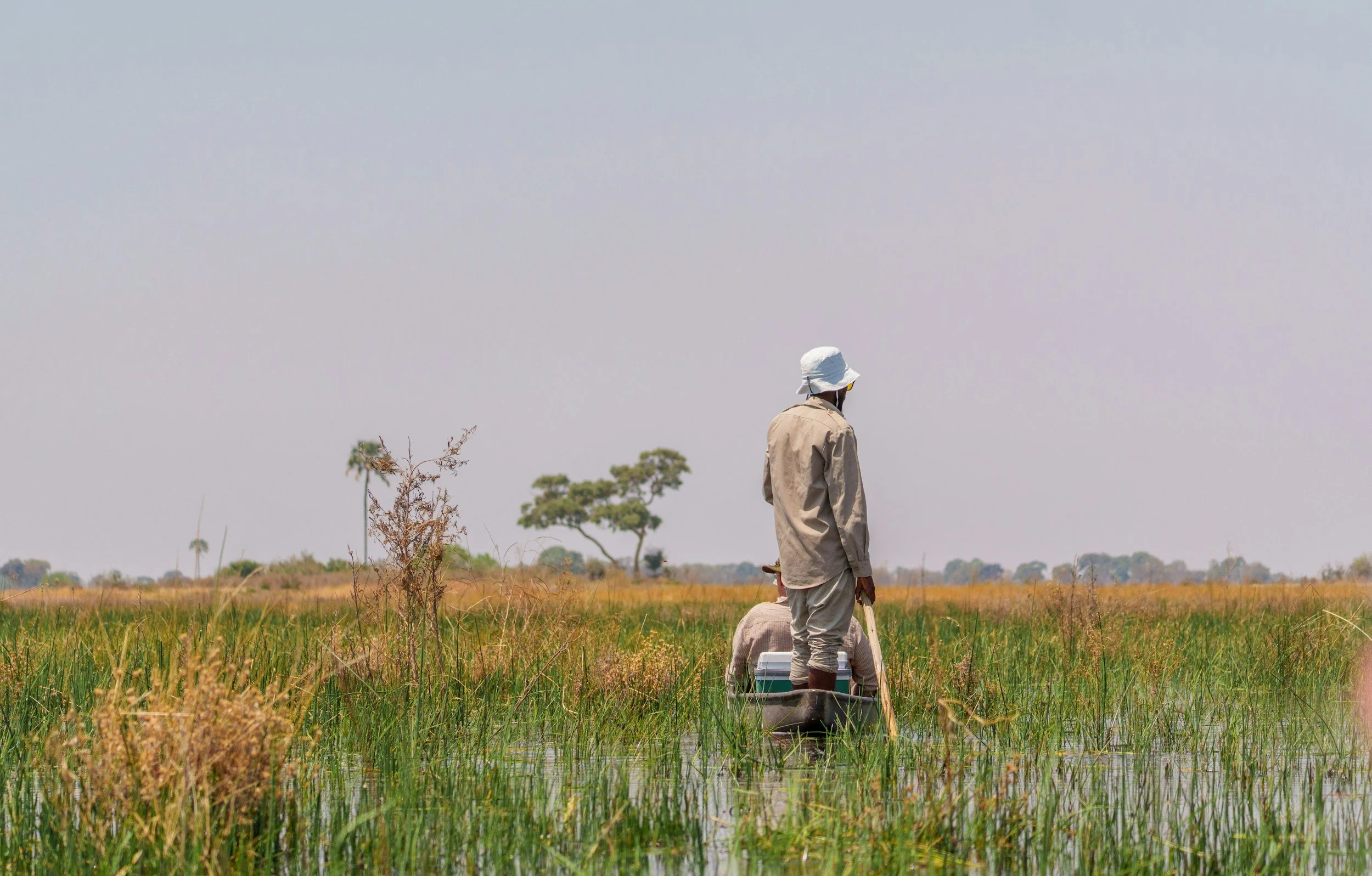Guide poling a mokoro through the Okavango Delta floodplains, Botswana.