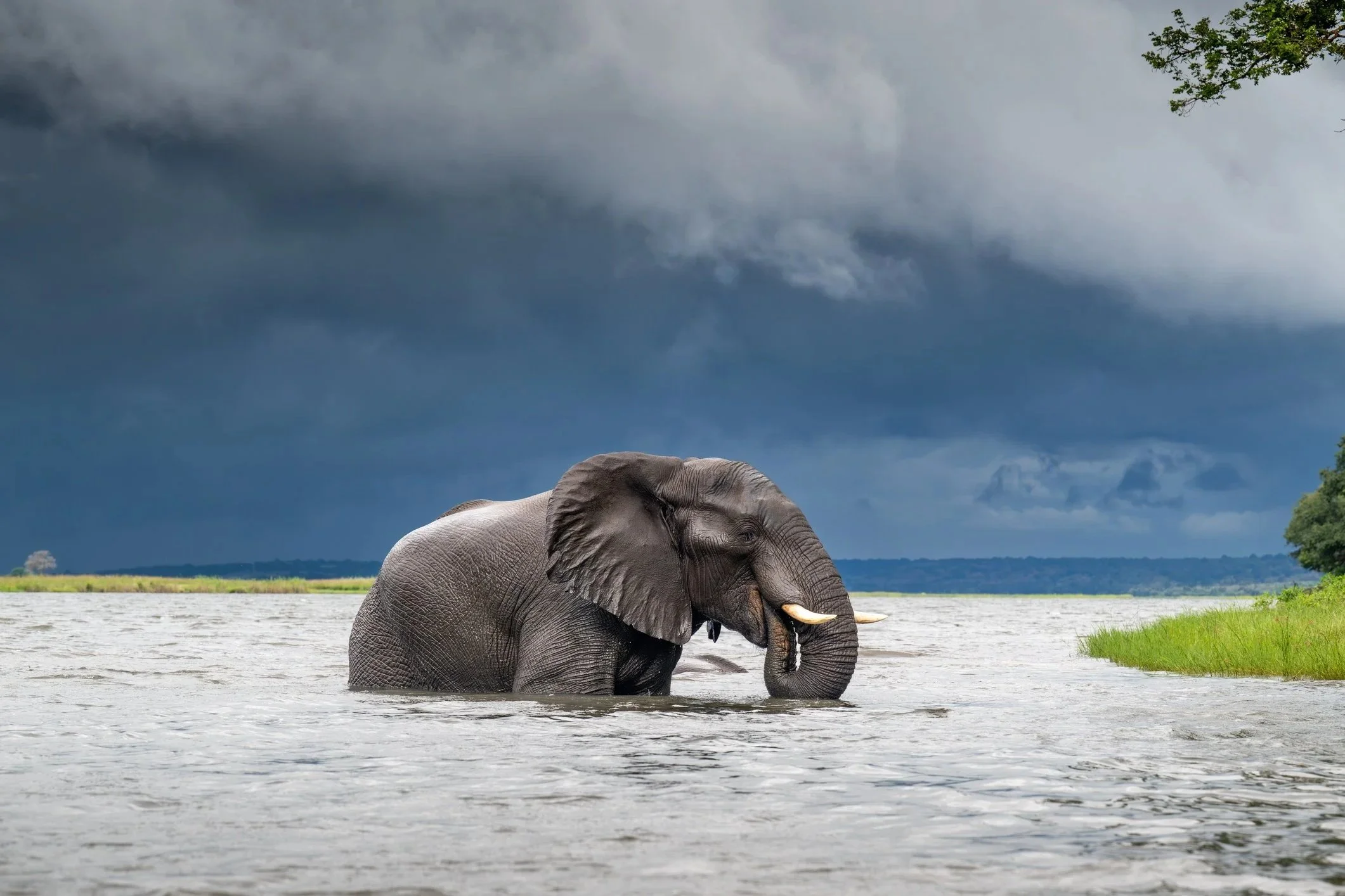 When the Rains Come: What Flooding in Botswana Really Means