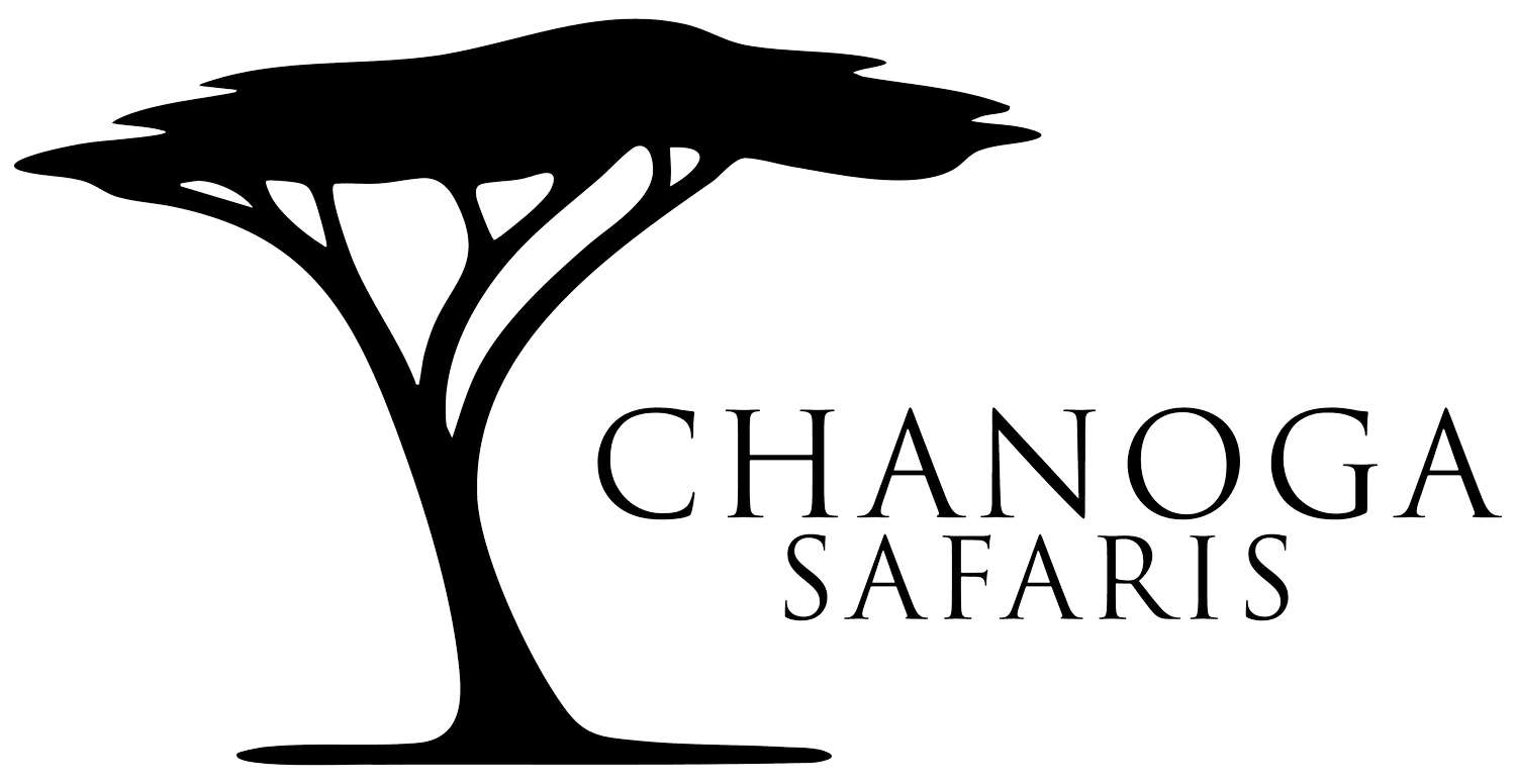 Chanoga Safaris
