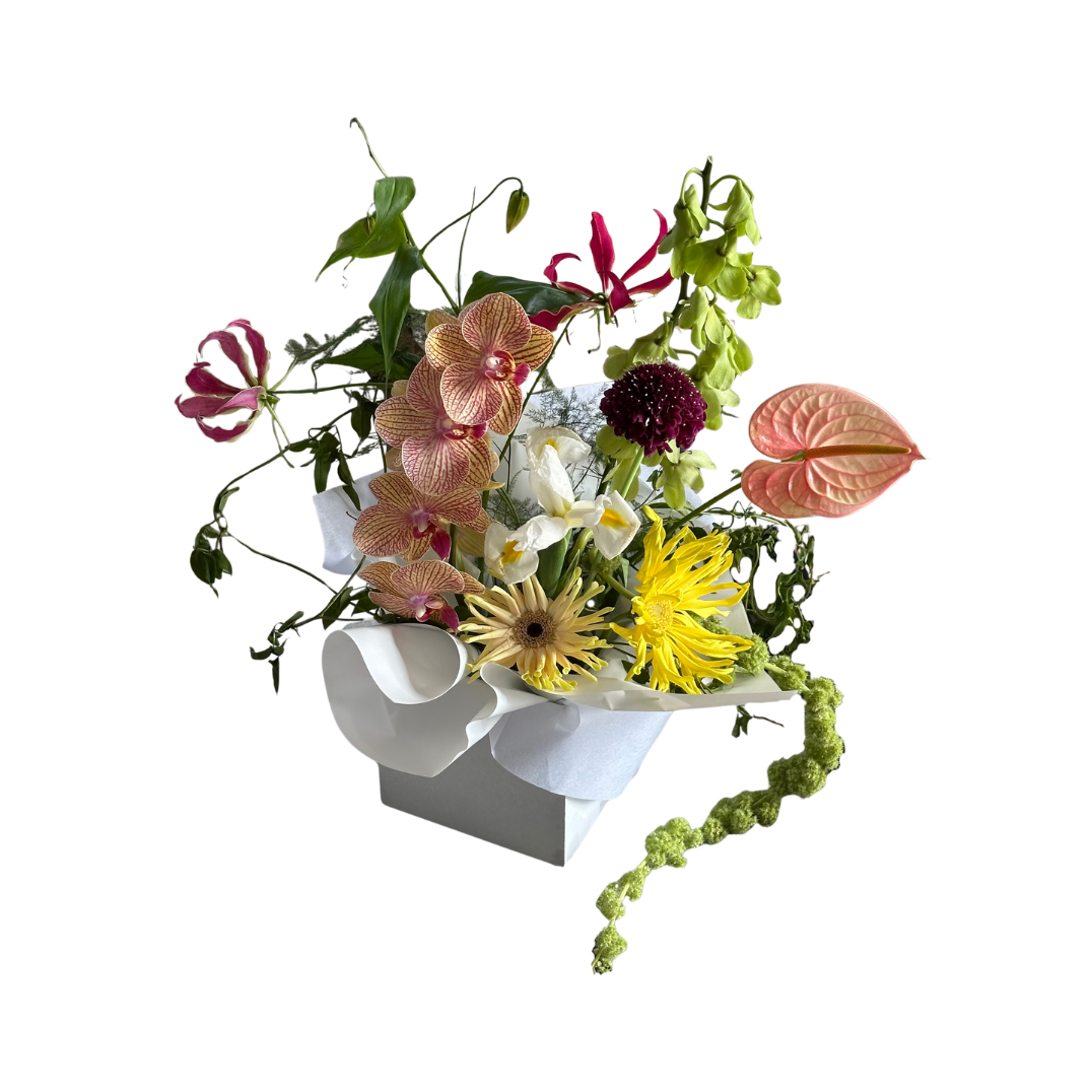 MS02 (1076 x 1076 px).png