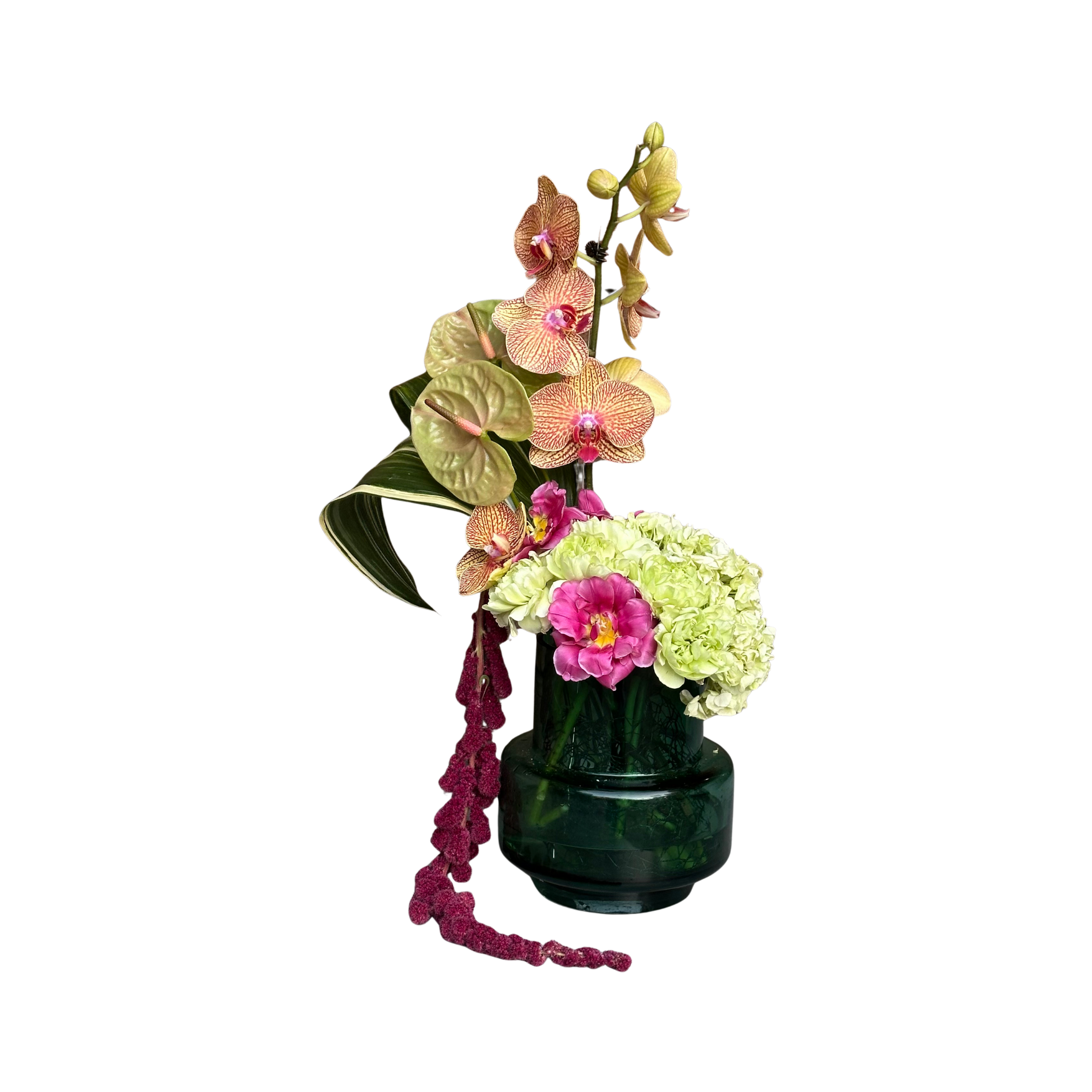 Untitled design (4).png