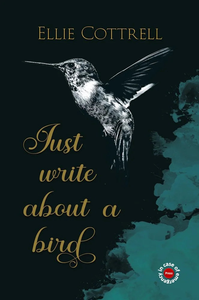 Book Launch – Just Write About A BIrd