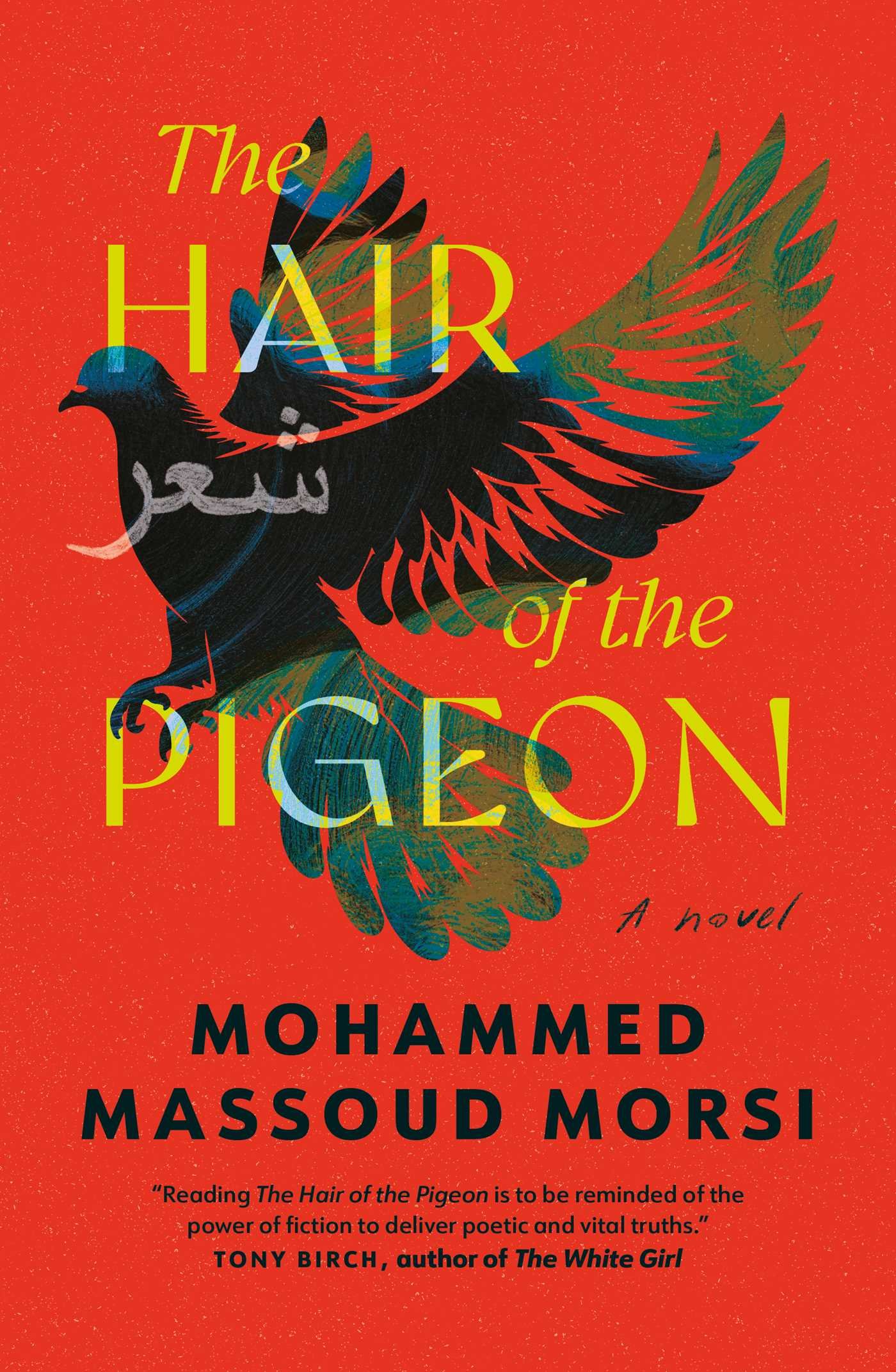 The Hair Of The Pigeon