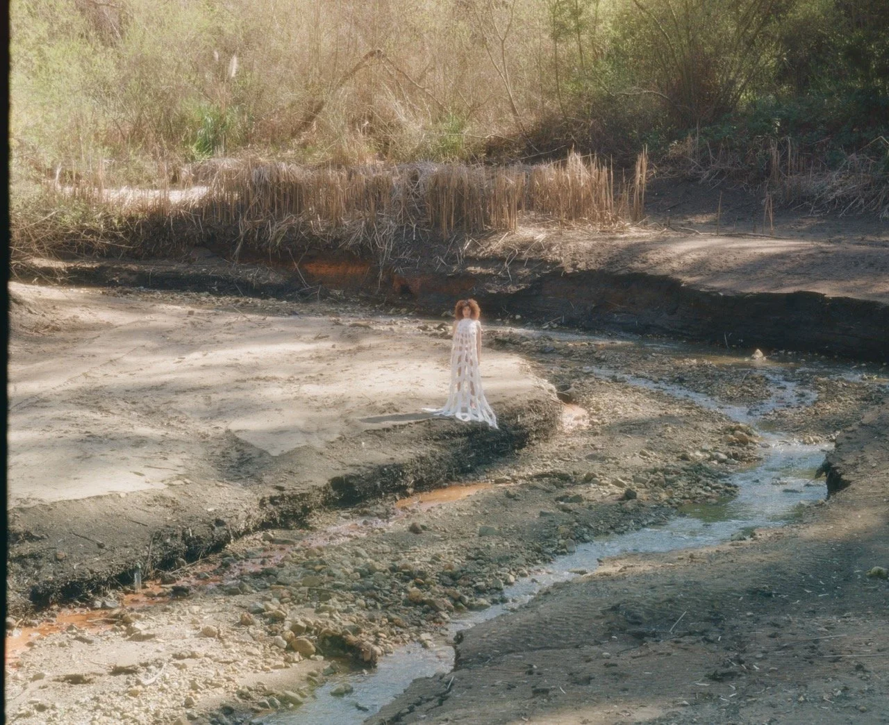 002004050008 Large.jpeg