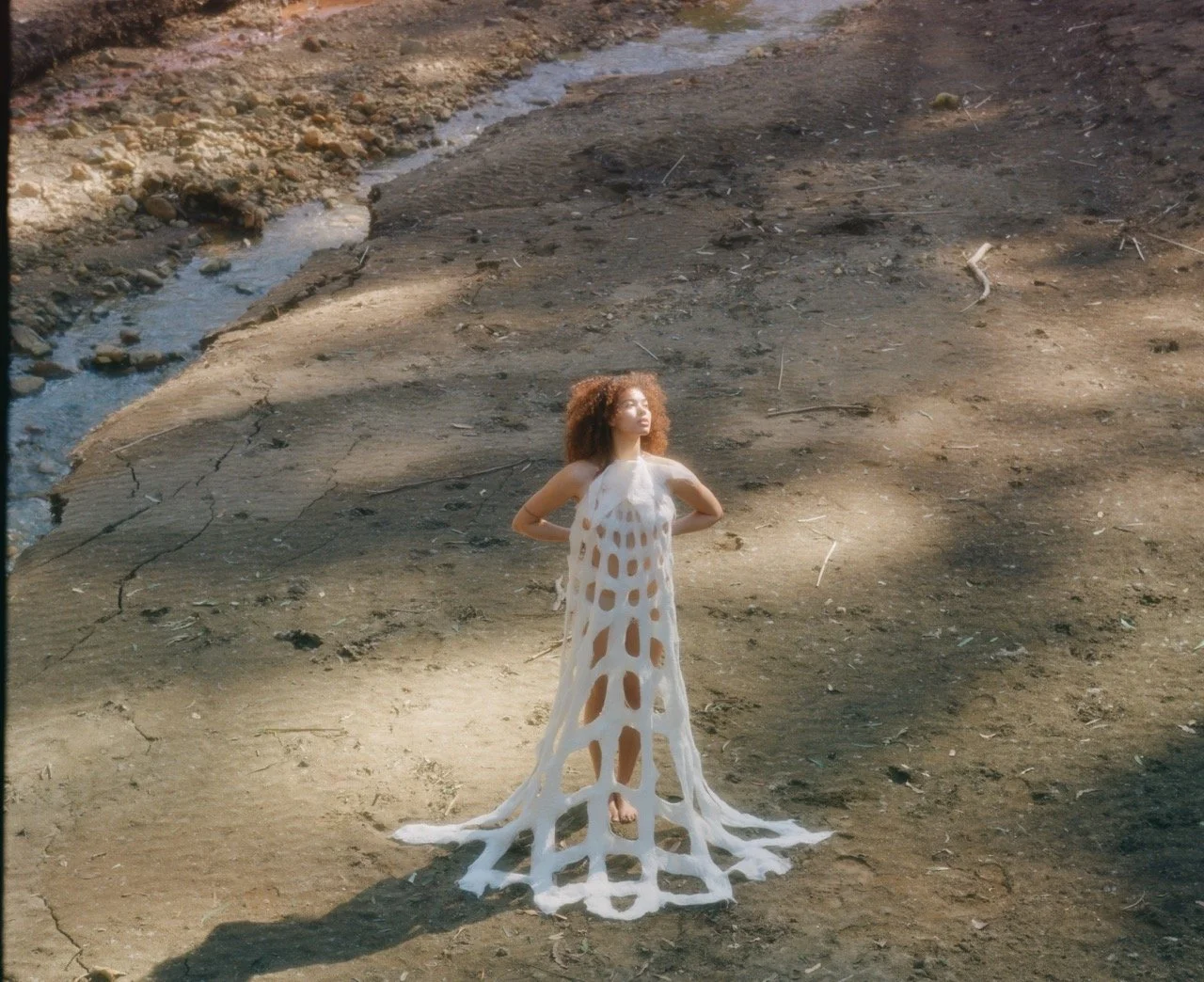 002004050007 Large.jpeg