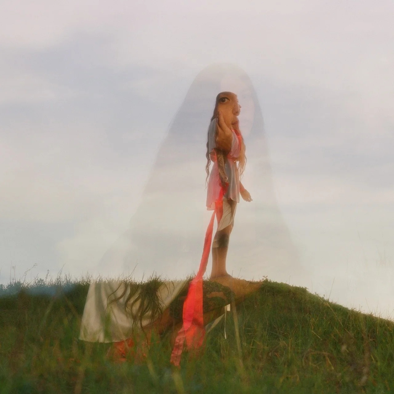 signal mountain / martha