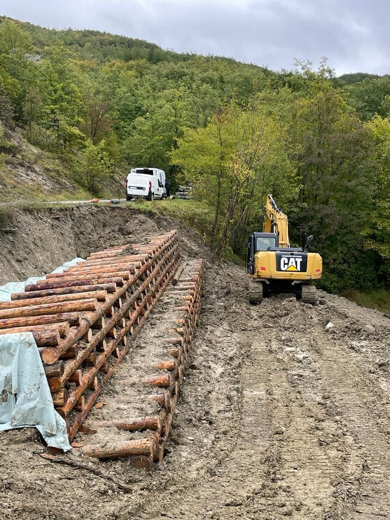 Ingegneria Naturalistica