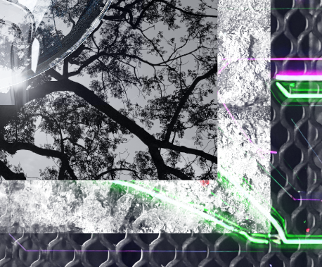 Tree branches with leaves silhouette against the sky, overlaid with digital glitch effects, neon green and purple lines, and textured patterns.