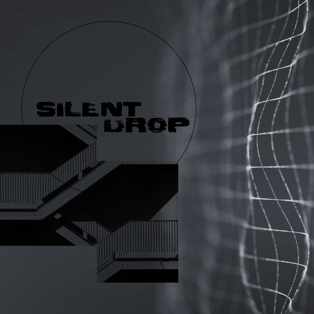 Black and white abstract image with the words 'Silent Drop' and a geometric structure in the foreground and a wireframe globe or network on the right side.