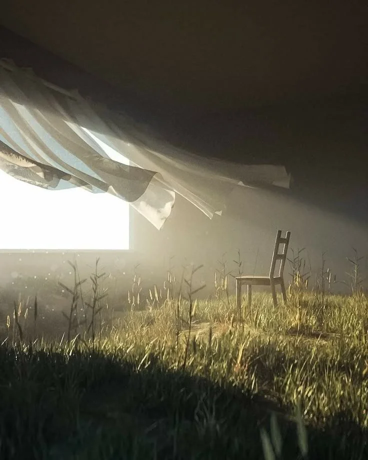 An airplane flying over a grassy field with a lone chair and plants illuminated by sunlight.