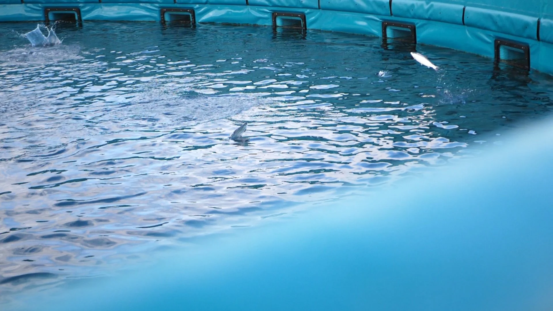 P1199023.00_00_13_07.Still012.jpg