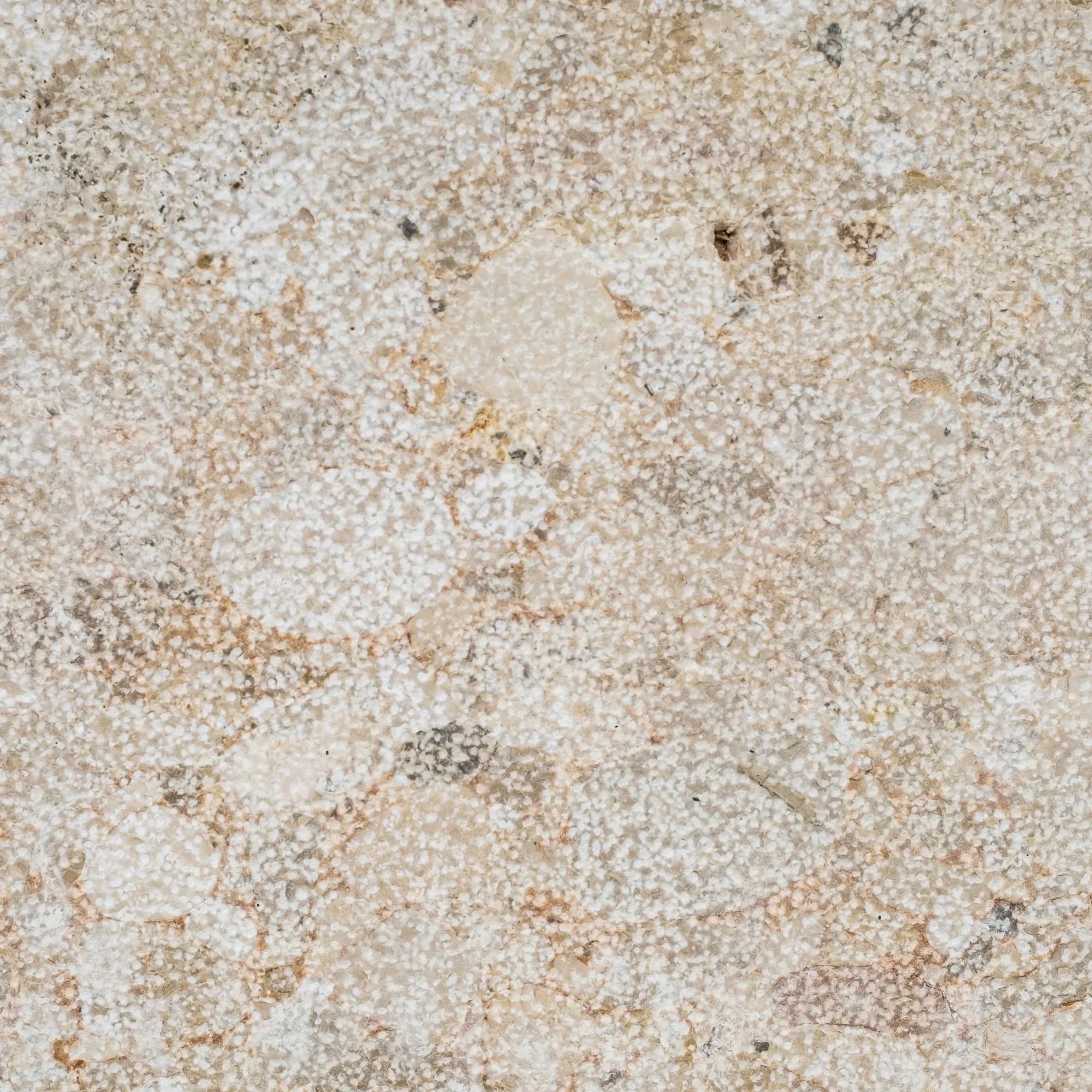 Marici, gestockt & gebürstet