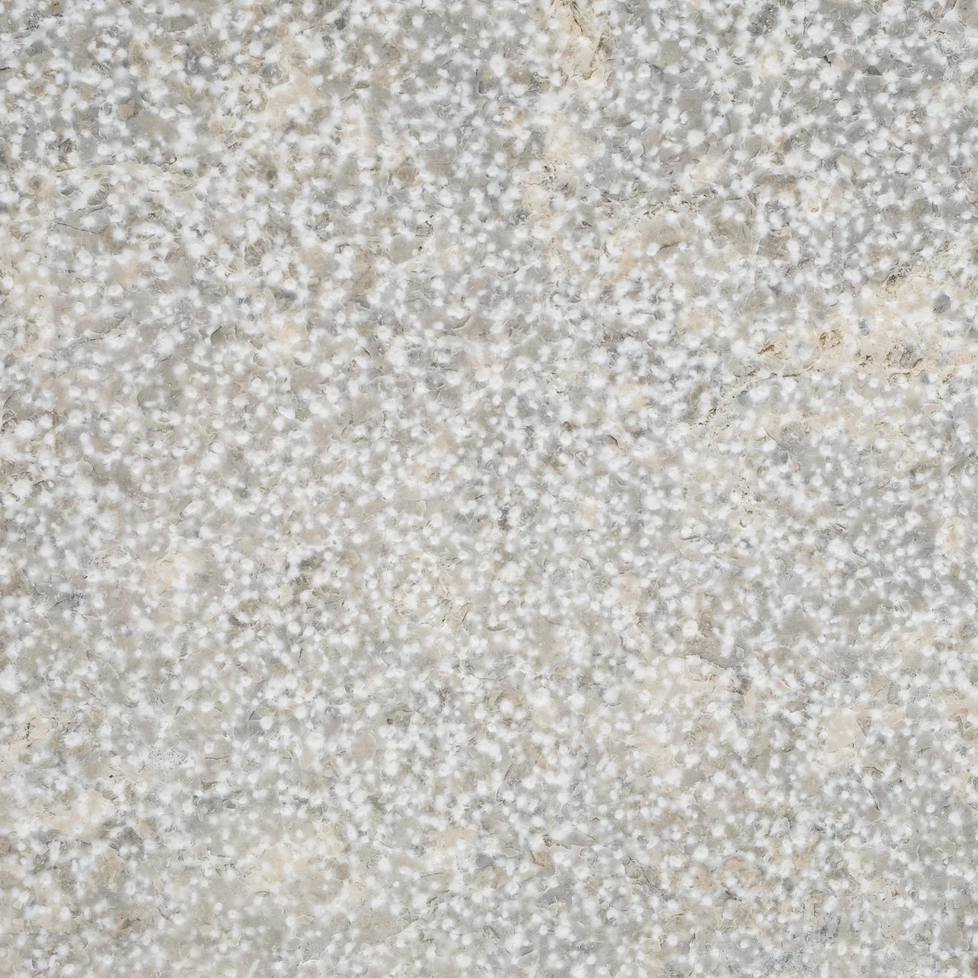 Kanfanar Luna, gestockt & gebürstet