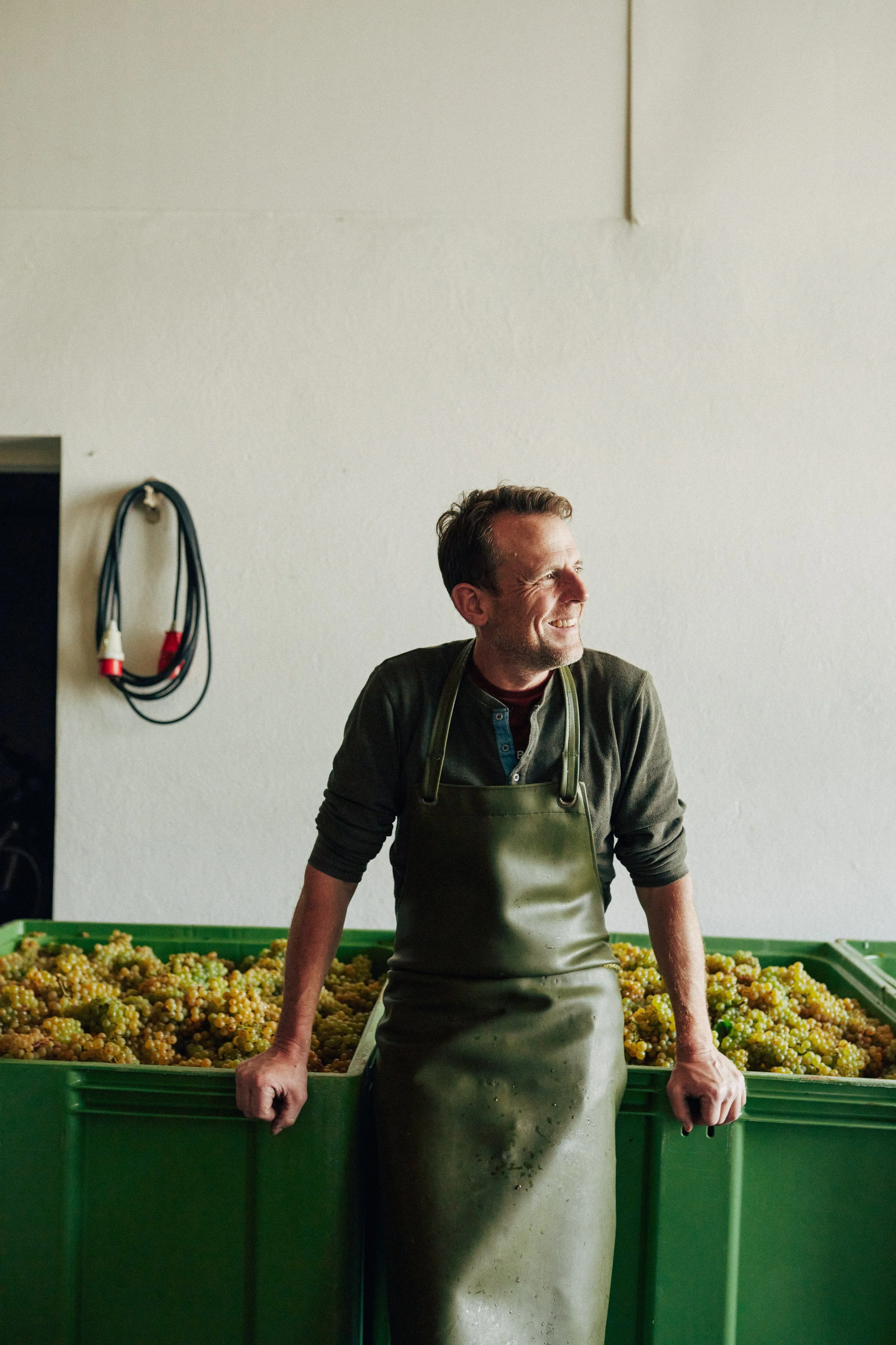 Boris Kranz auf einer Box mit Trauben.
