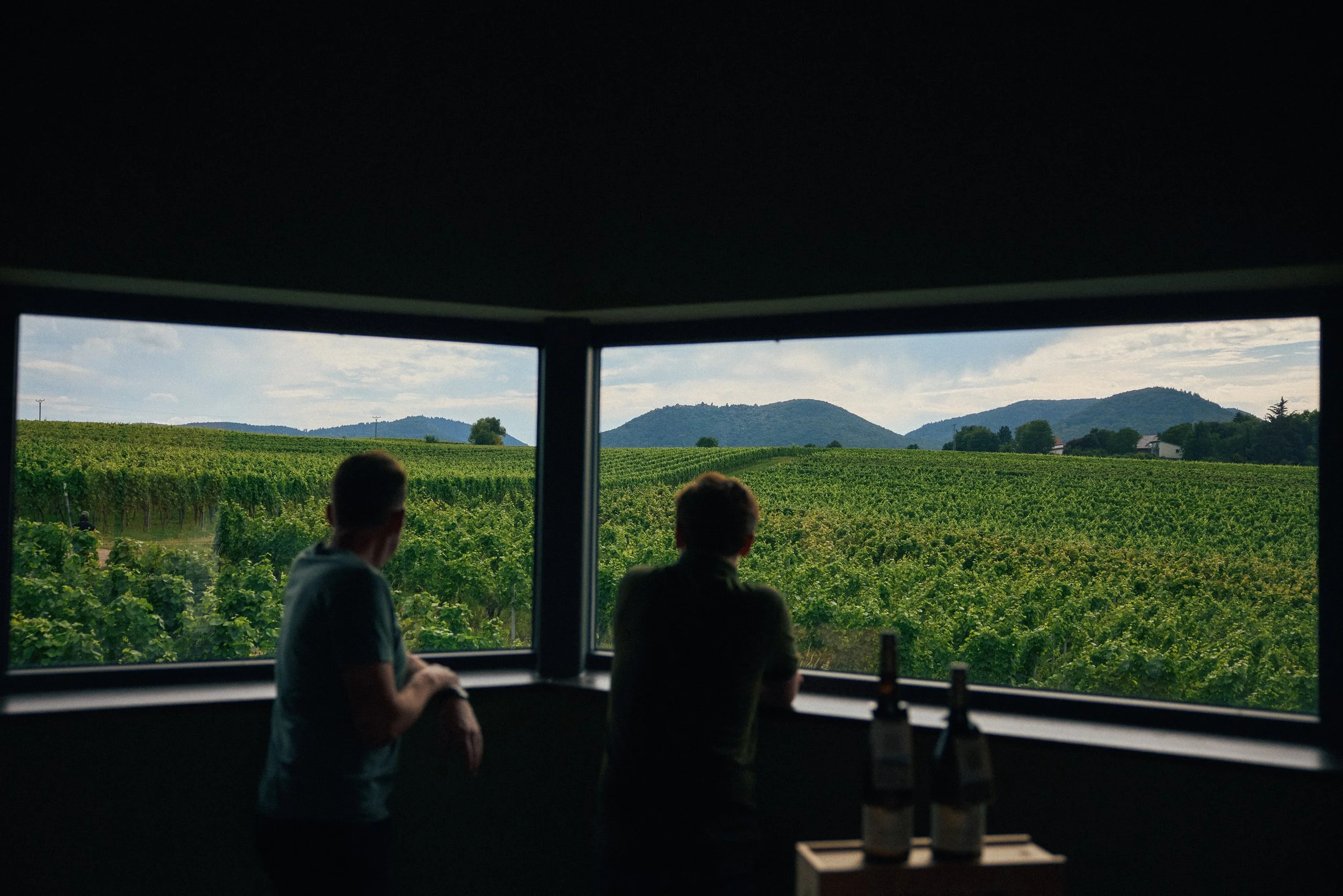 Zwei Männer blicken aus einem Fenster auf eine grüne Weinlandschaft mit Hügeln im Hintergrund.
