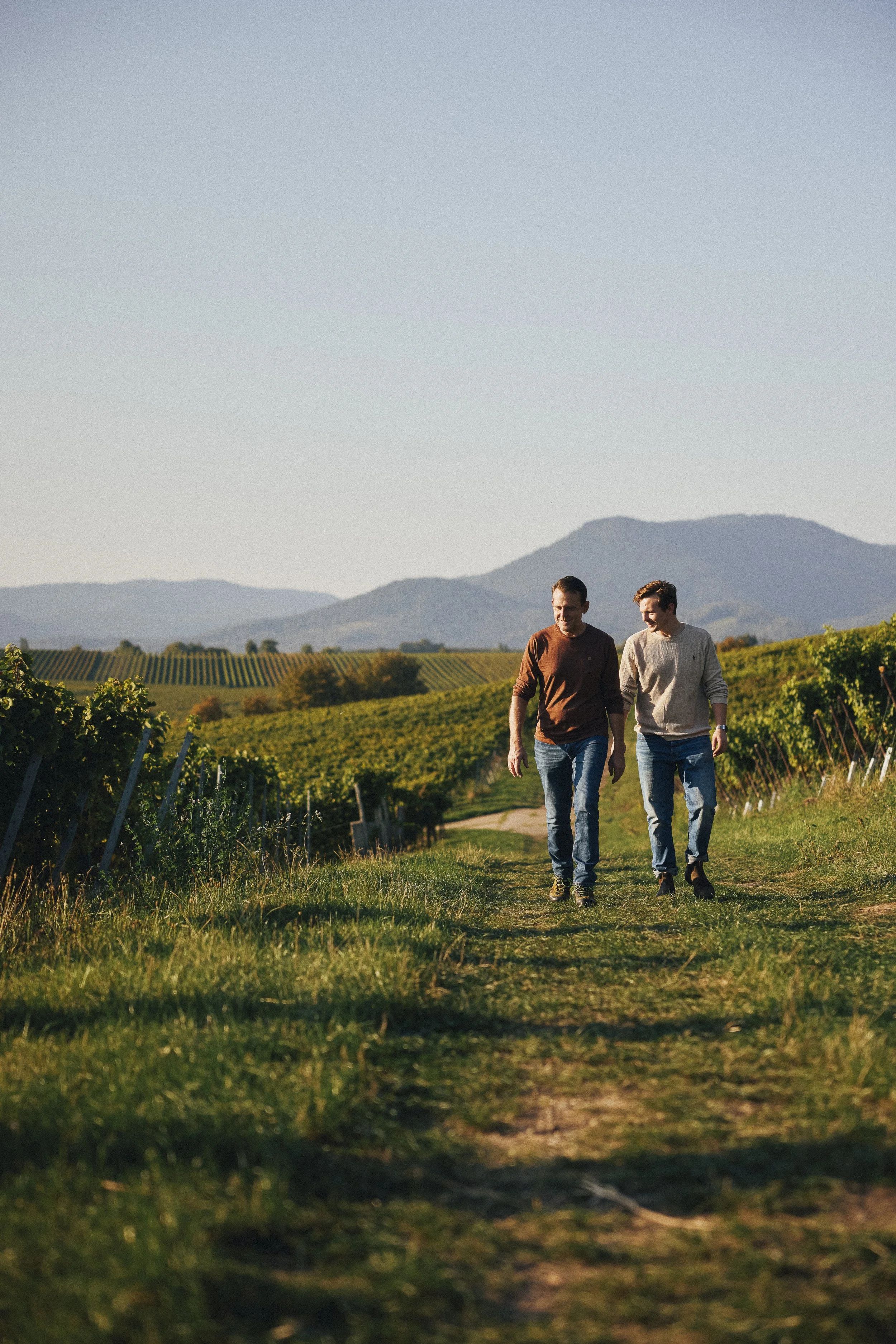 Zwei Männer gehen auf einem Weg durch eine Weinrebenlandschaft bei Sonnenuntergang, im Hintergrund Berge.