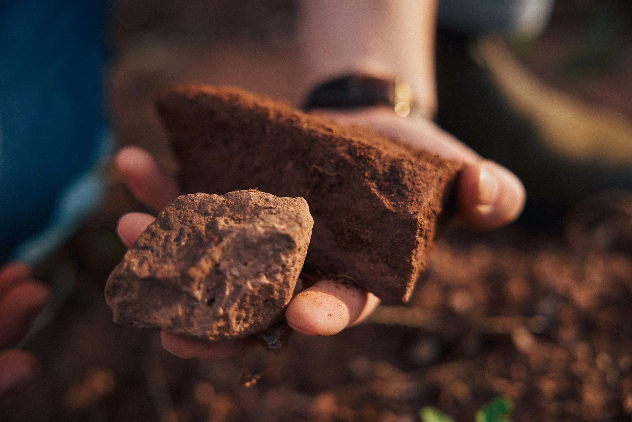 Nahaufnahme einer Hand, die 2 Steine des Terroirs in Ranschbach hält.