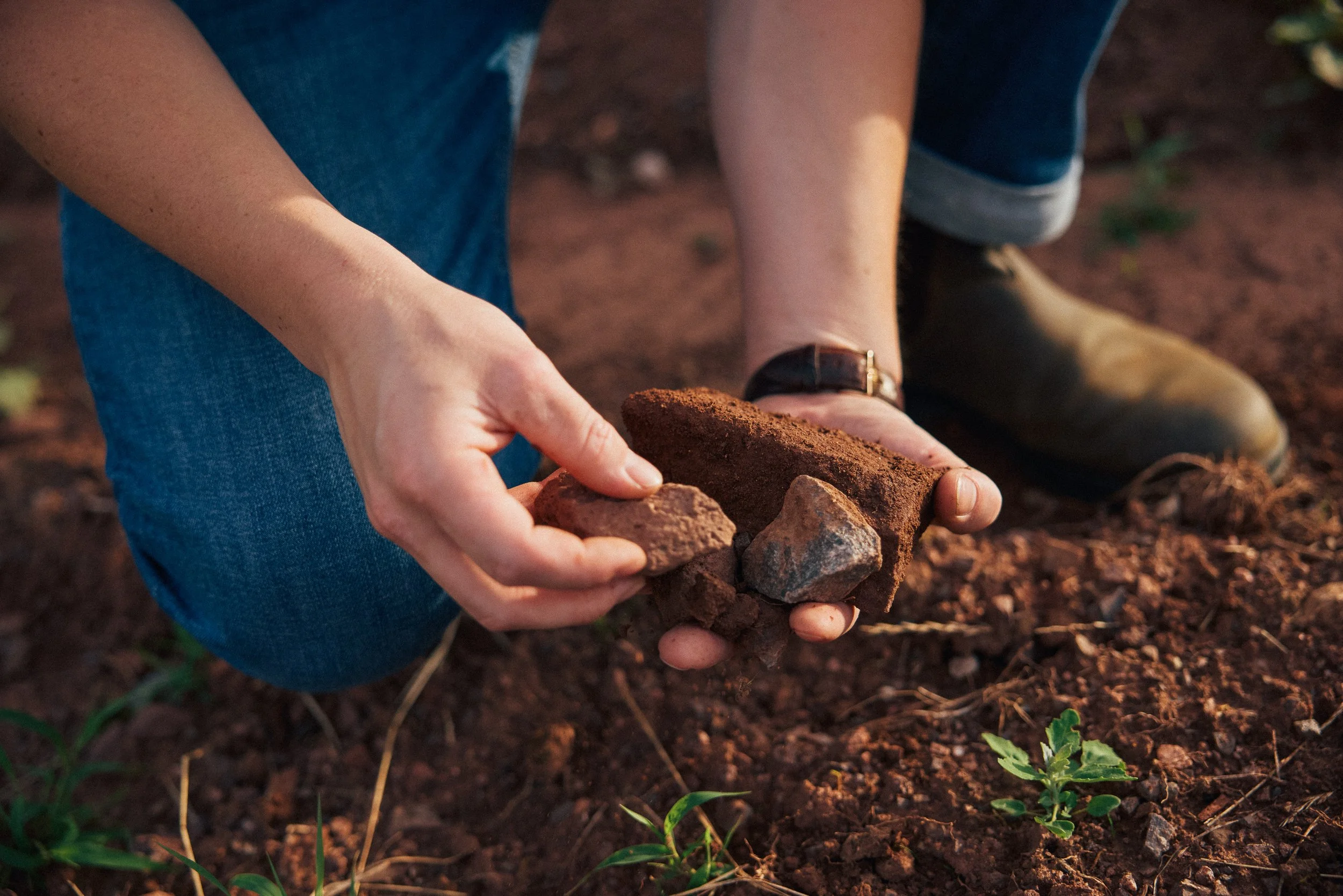 Nahaufnahme des Ranschbacher Terroirs. Verschiedene Gesteinsarten des Rotliegend.