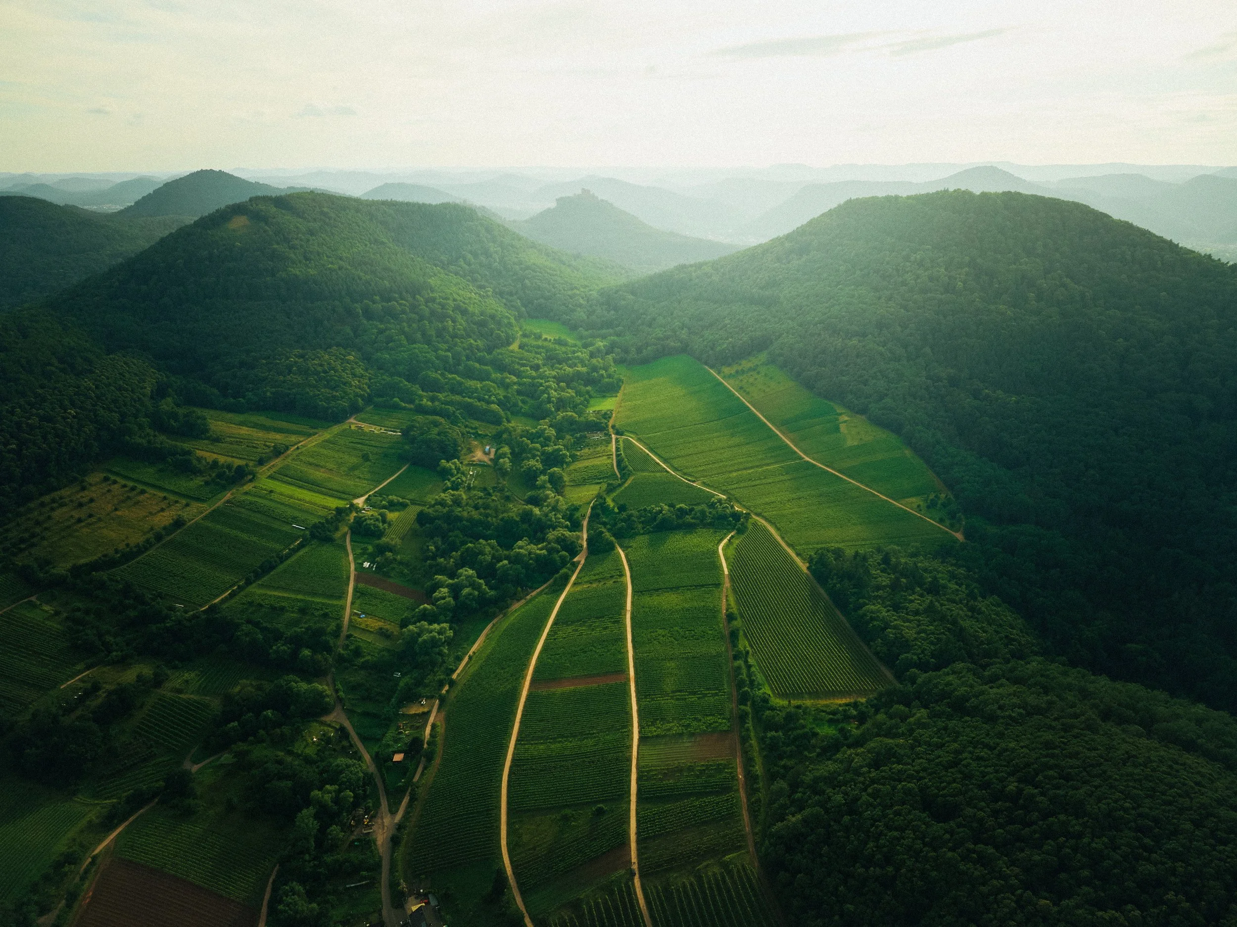 Landschaft mit grünen Hügeln, Wäldern und landwirtschaftlichen Feldern, aufgenommen aus der Luft