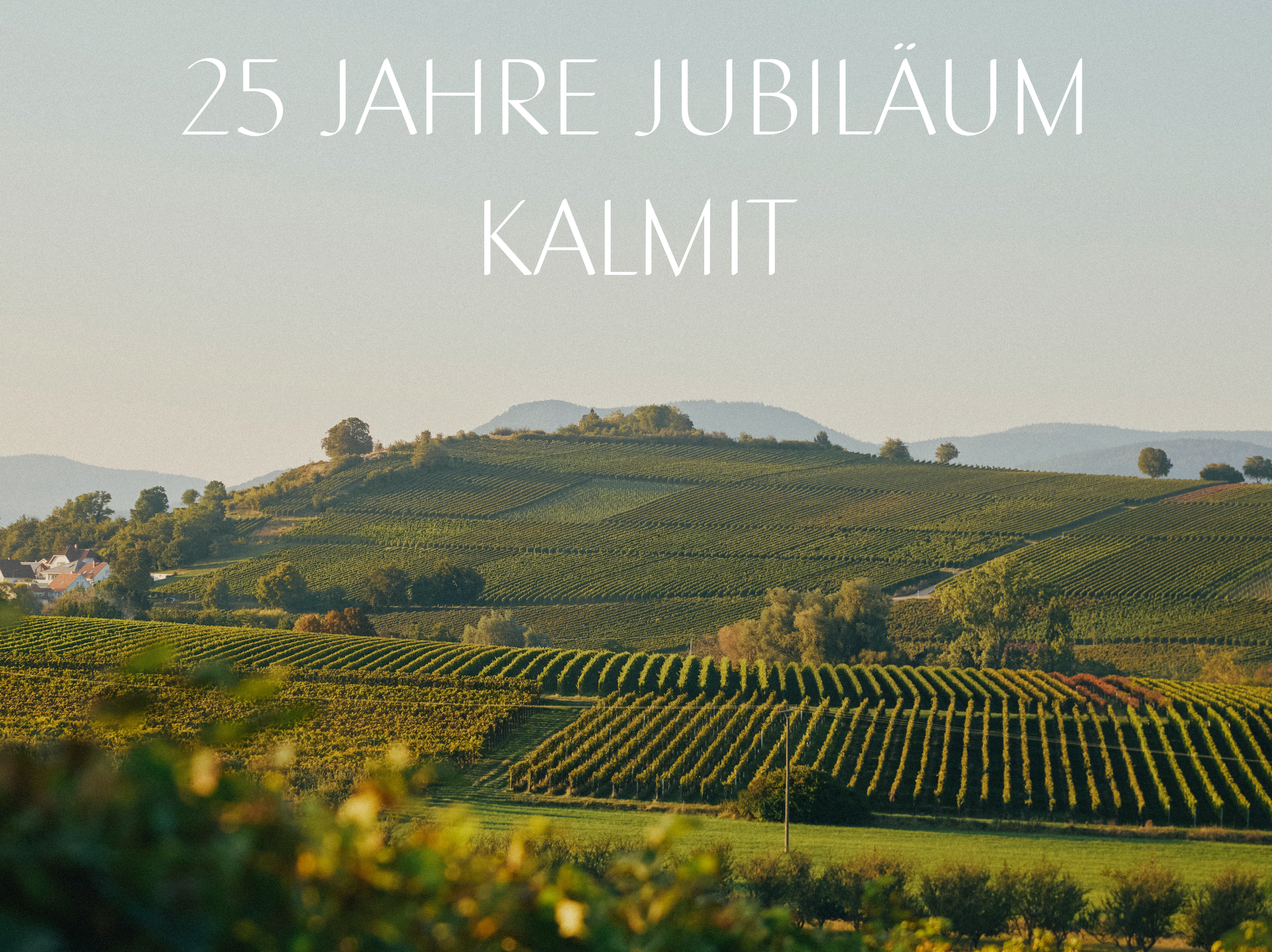 25 JAHRE JUBILÄUM KALMIT