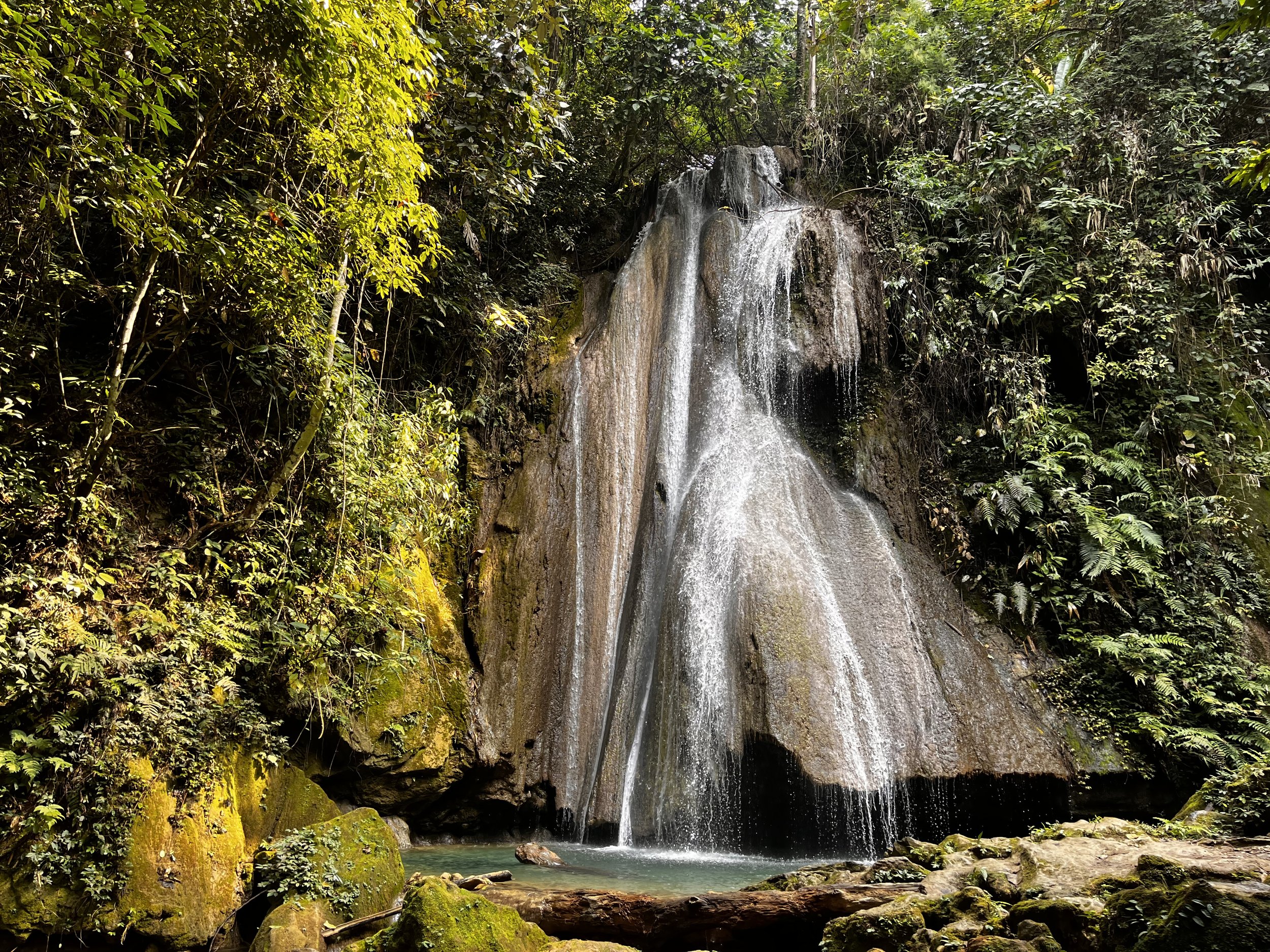 A waterfall cascading down a rocky cliff surrounded by dense green jungle foliage.