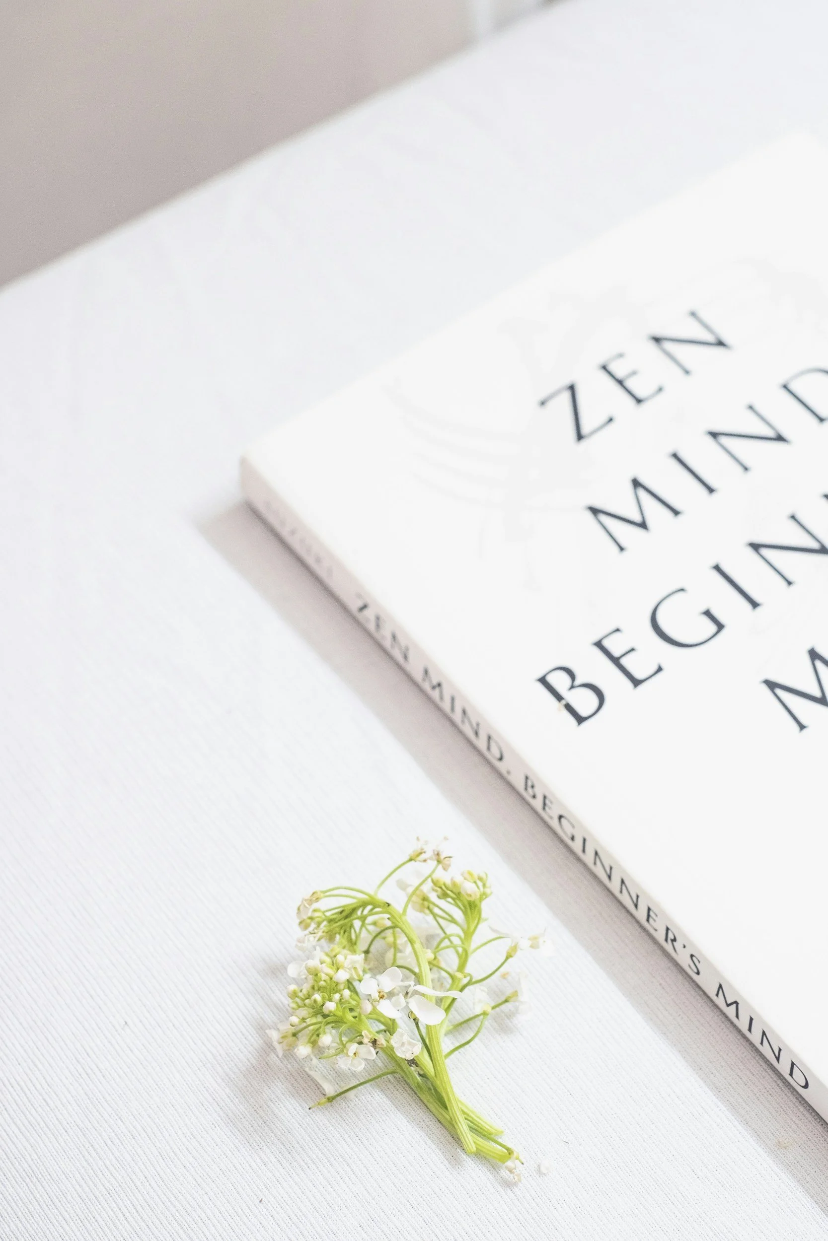 Valkoinen kirja ja valkoinen kukka syreen, kaikki aseteltuna valkoiselle pinnalle.