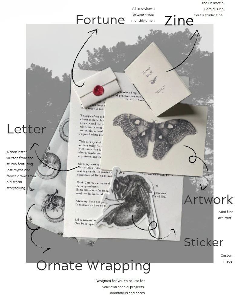 Decorative zine titled "Fortune" with black-and-white artwork of a butterfly and dragonfly, ornate wrapping paper, and a sticker, all with handwritten-style labels describing their features.