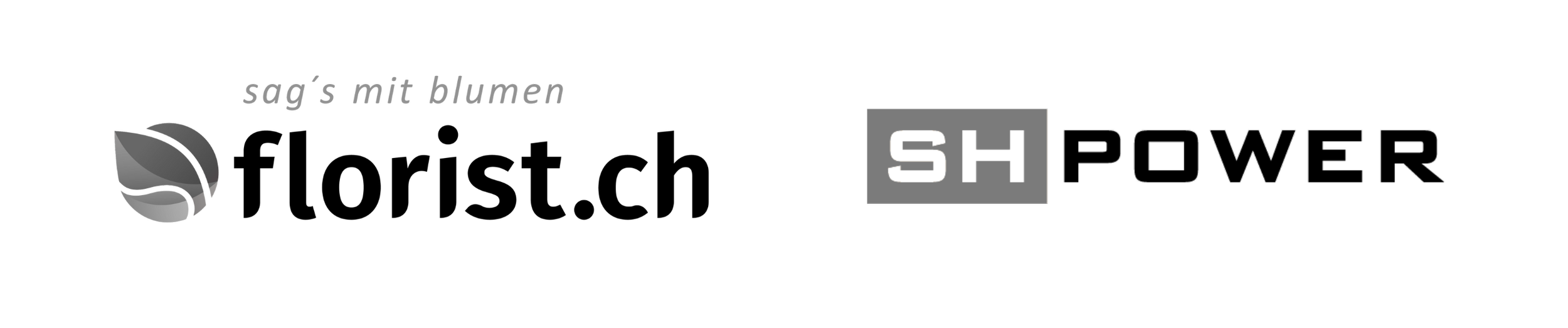Logo with a leaf icon and German text that reads 'sag's mit blumen' followed by a box with 'SH' and the word 'POWER' in stylized letters.
