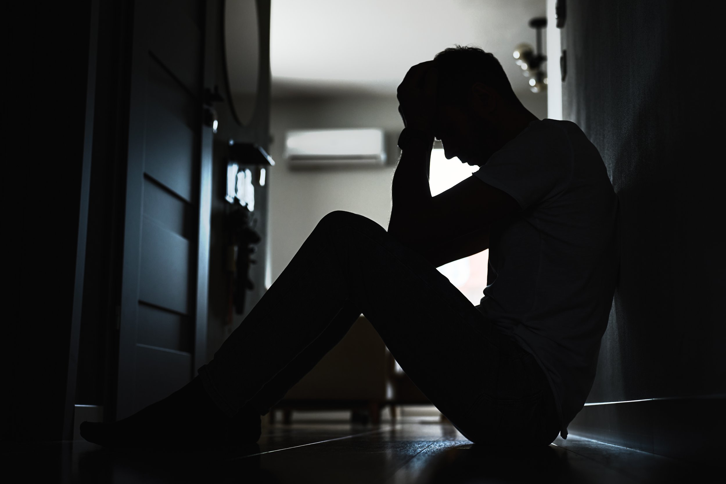 Depression, Anxiety, and Herbal Medicine, A Practical Overview