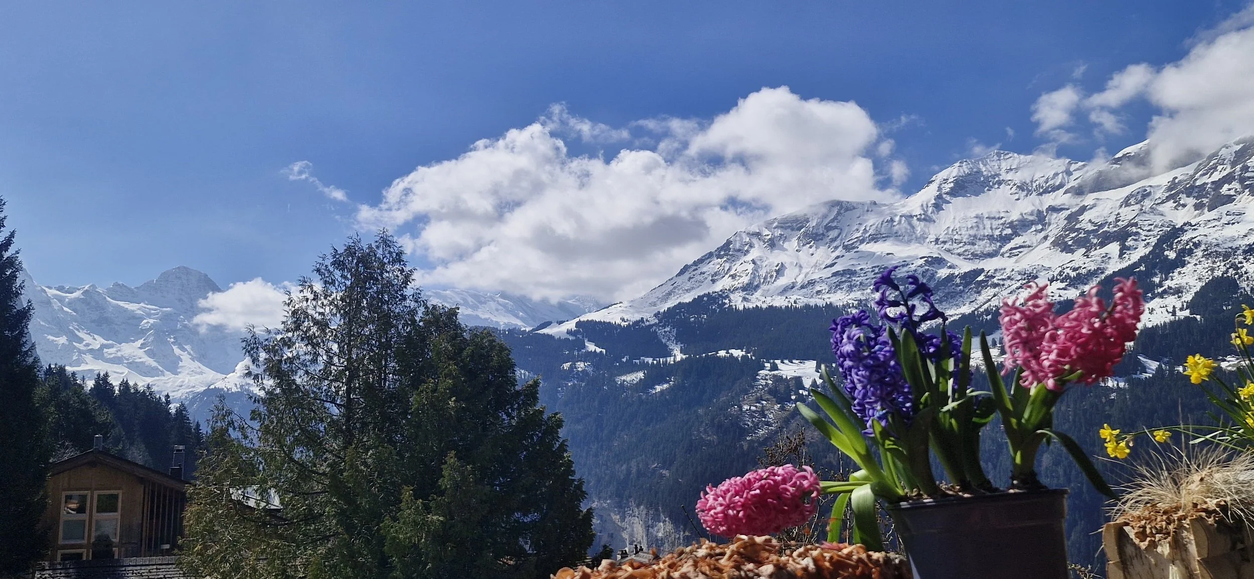 WhatsApp Image 2025-06-17 at 09.27.08.jpeg