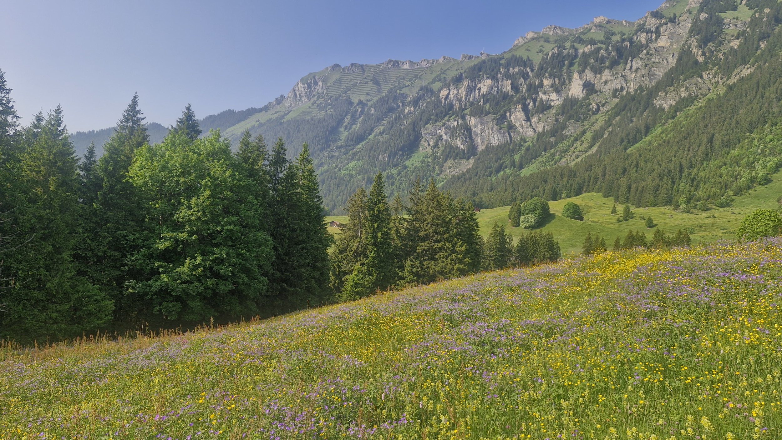 WhatsApp Image 2025-06-17 at 09.23.05.jpeg