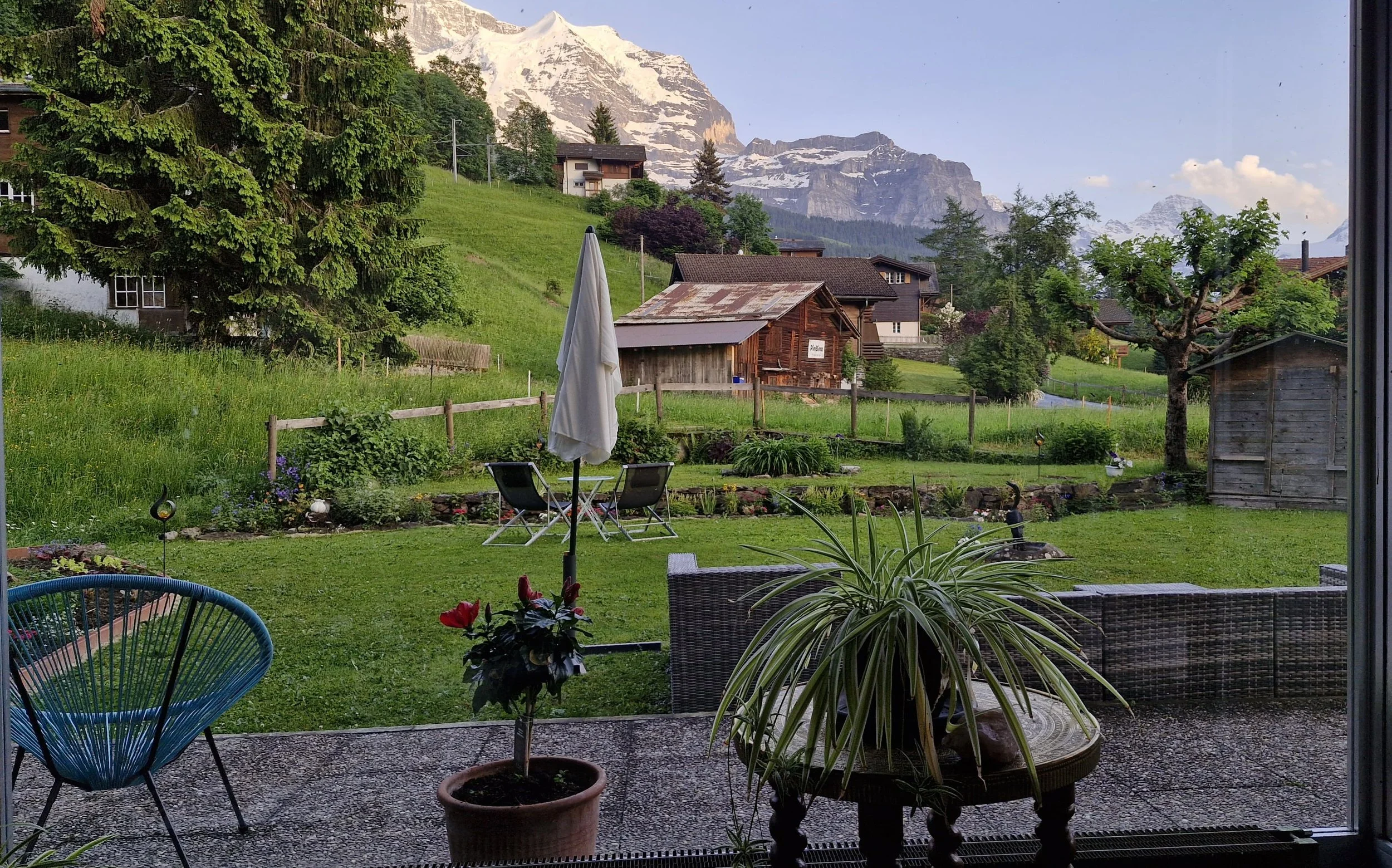 WhatsApp Image 2025-06-17 at 09.22.40.jpeg