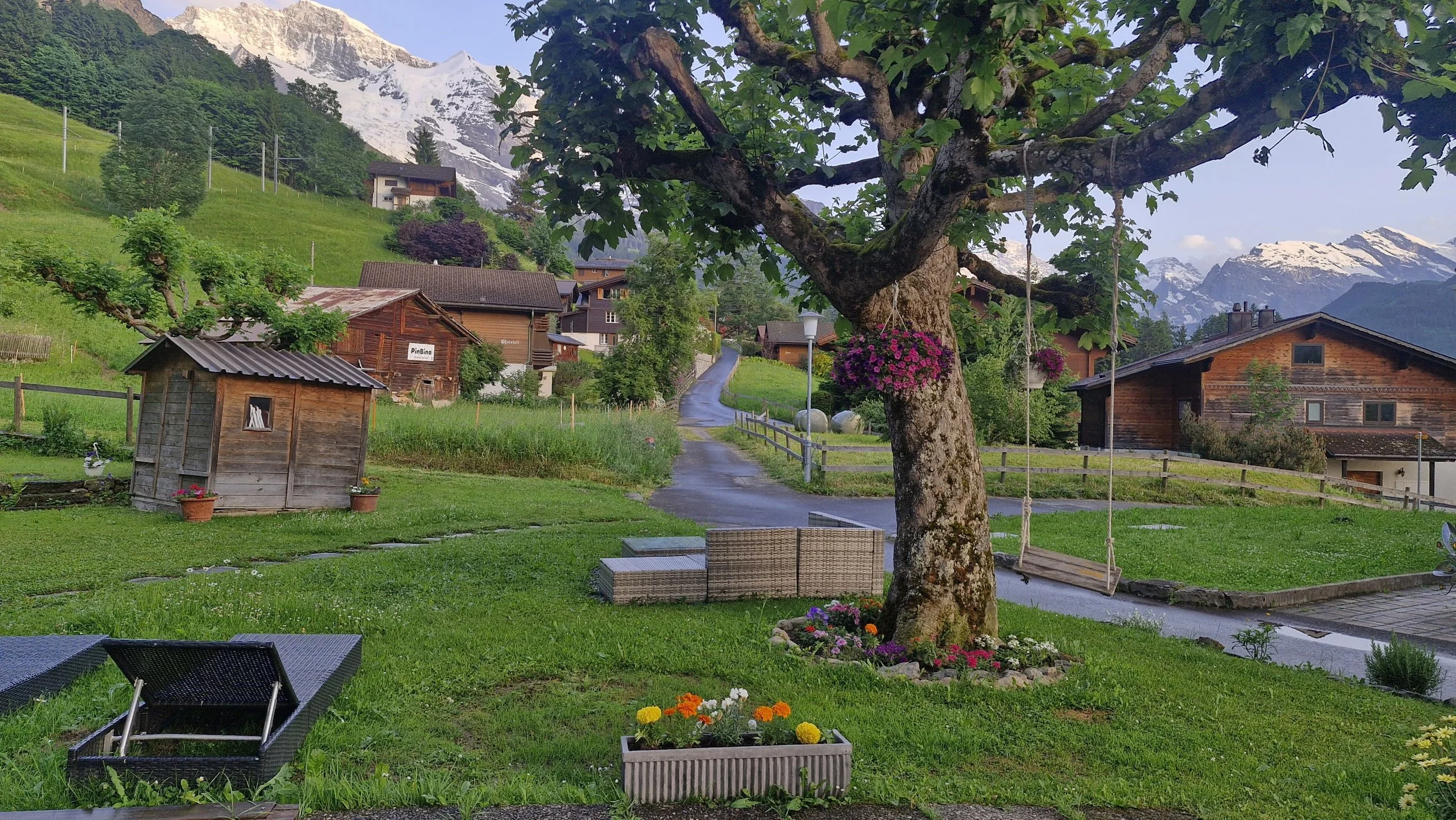 WhatsApp Image 2025-06-17 at 09.22.52.jpeg