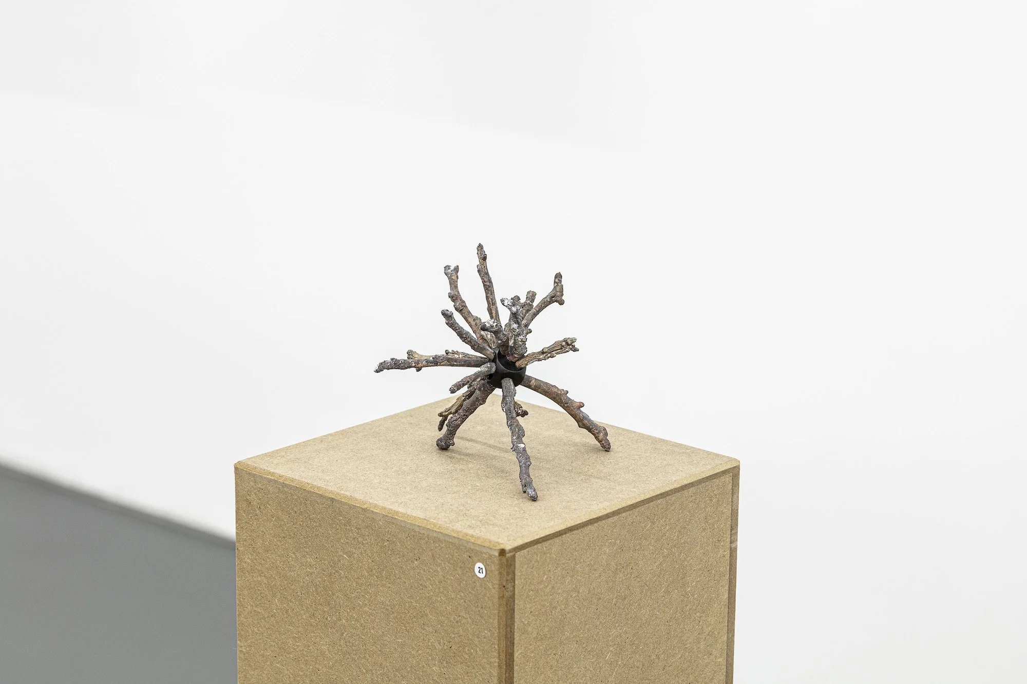 Isabelle Krieg, Wahrscheinlichkeitstriebe (schwarz), 2020