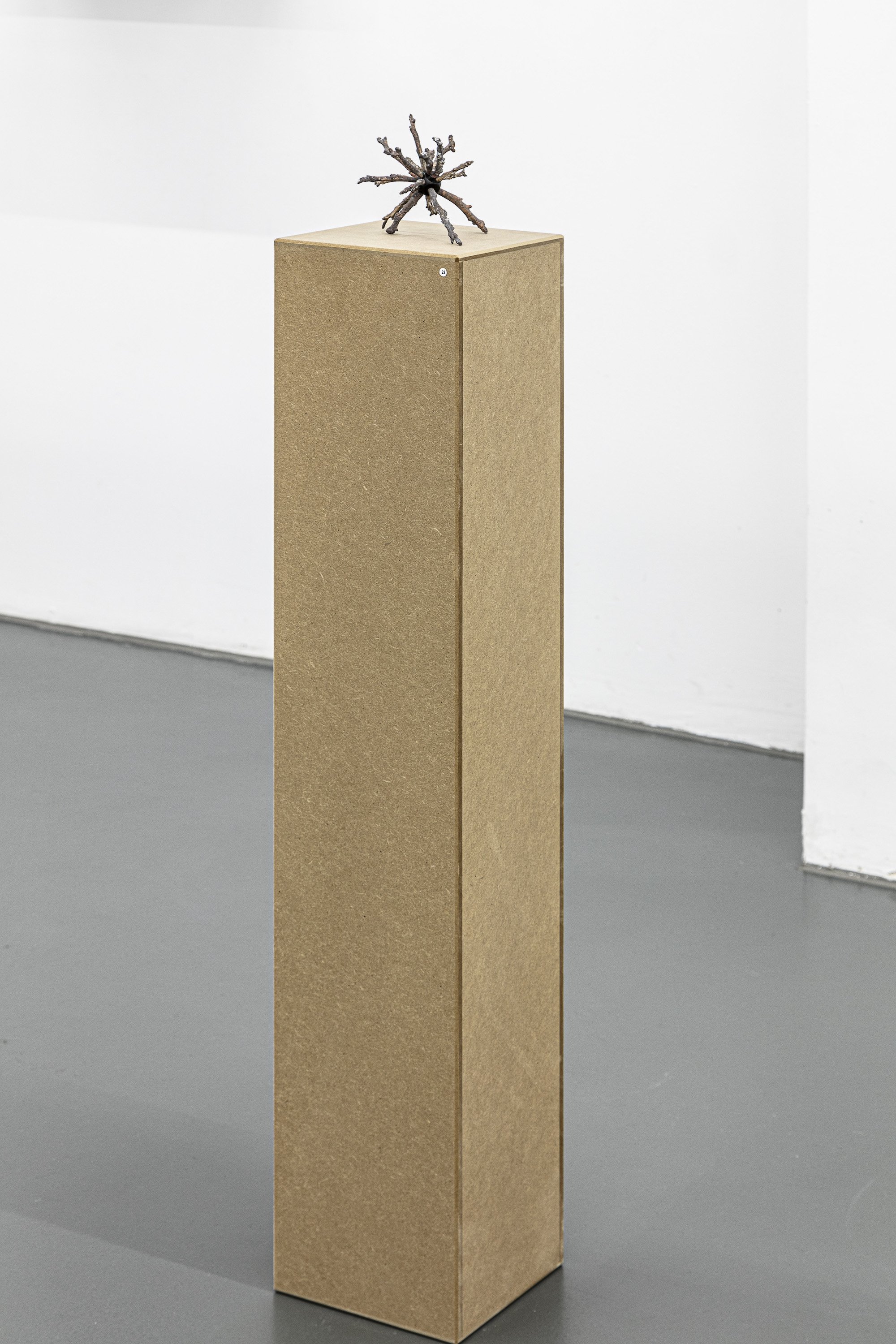 Isabelle Krieg, Wahrscheinlichkeitstriebe (schwarz), 2020