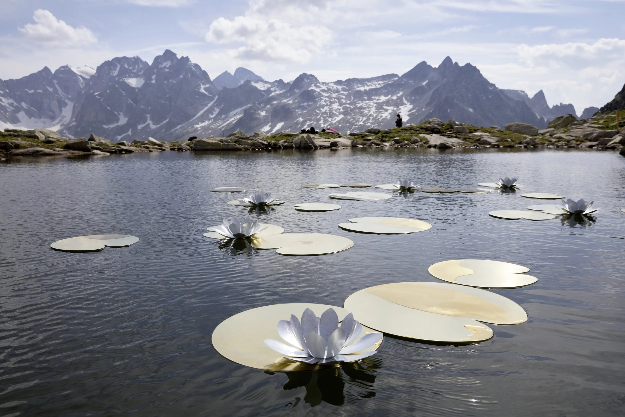 Arte Albina 2017, Remo Albert Alig, «Nymphea Alba», 2016/2017, Messing unbehandelt, Dämmplatte, Aluminium weiss lackiert, Silk, Spezialösenmagnete, Masse variabel (ca. 6 m2), Bild © Ralph Feiner