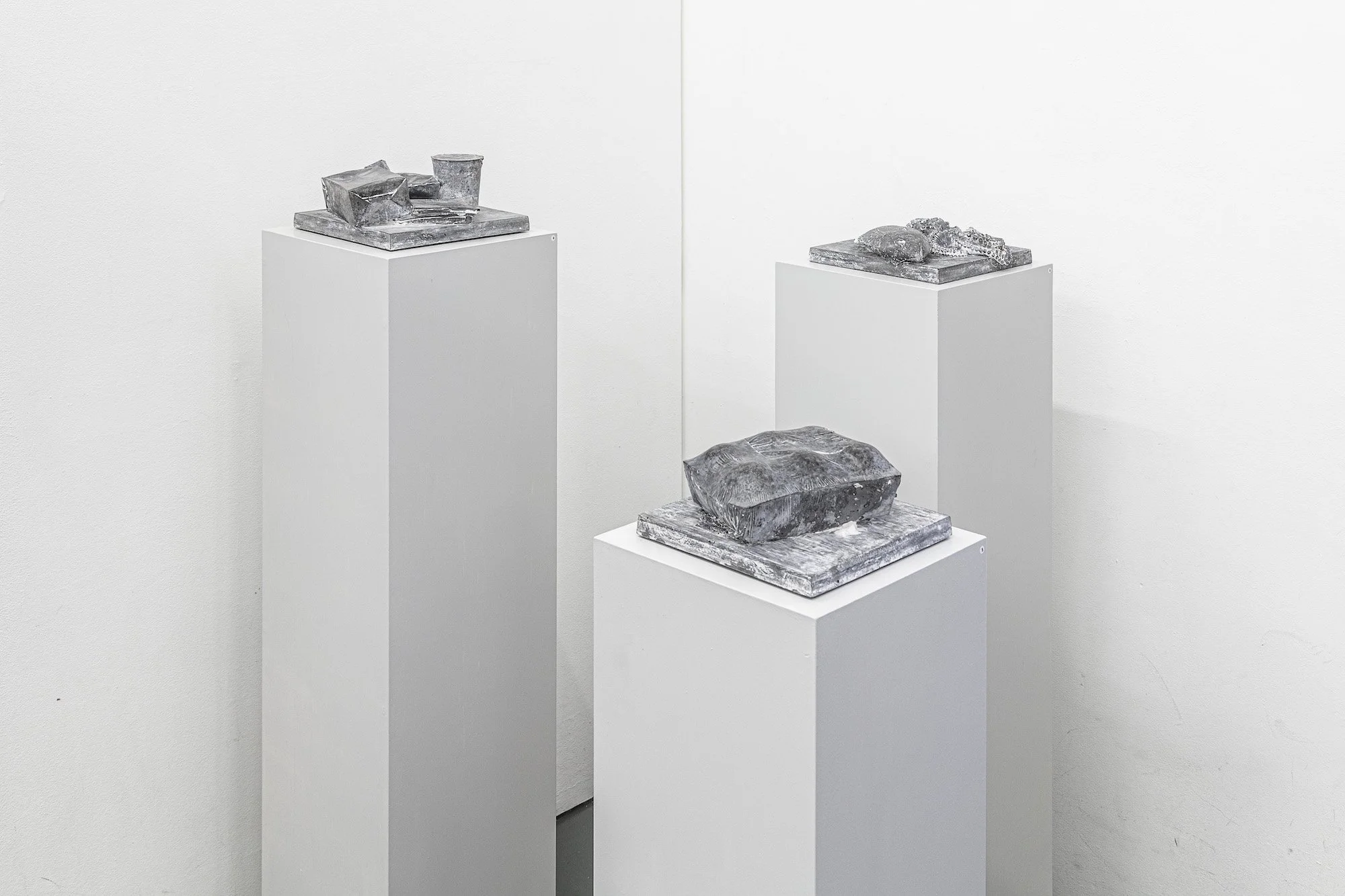 Dominik Zehnder, FoodWaste – natura morta, 2014