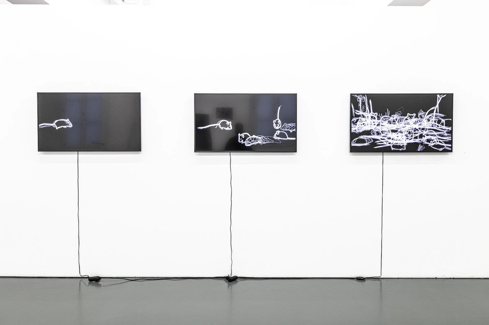 Gabriela Gerber & Lukas Bardill, 1000 Mäuse, 2020