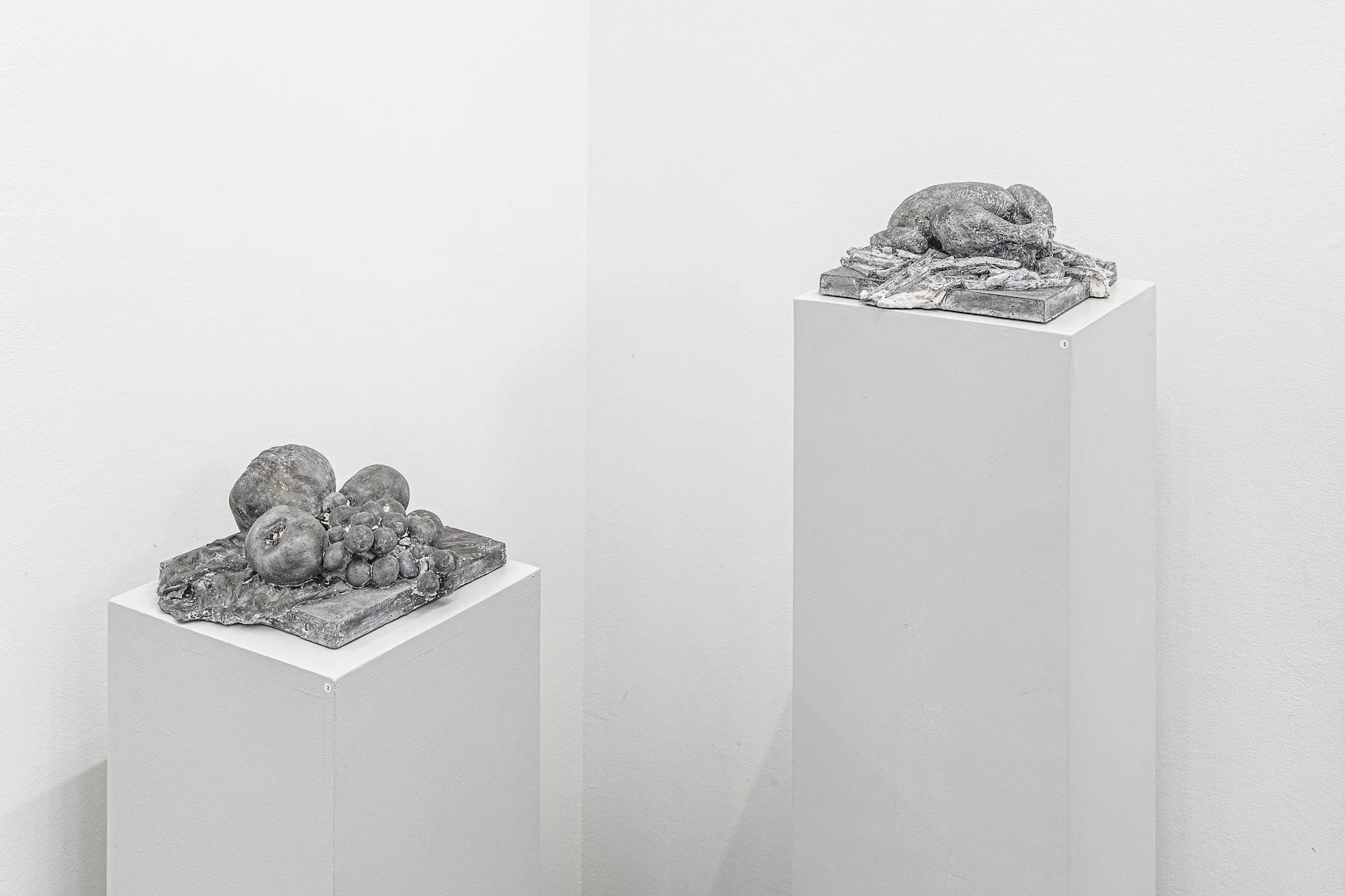 Dominik Zehnder, FoodWaste – natura morta, 2014