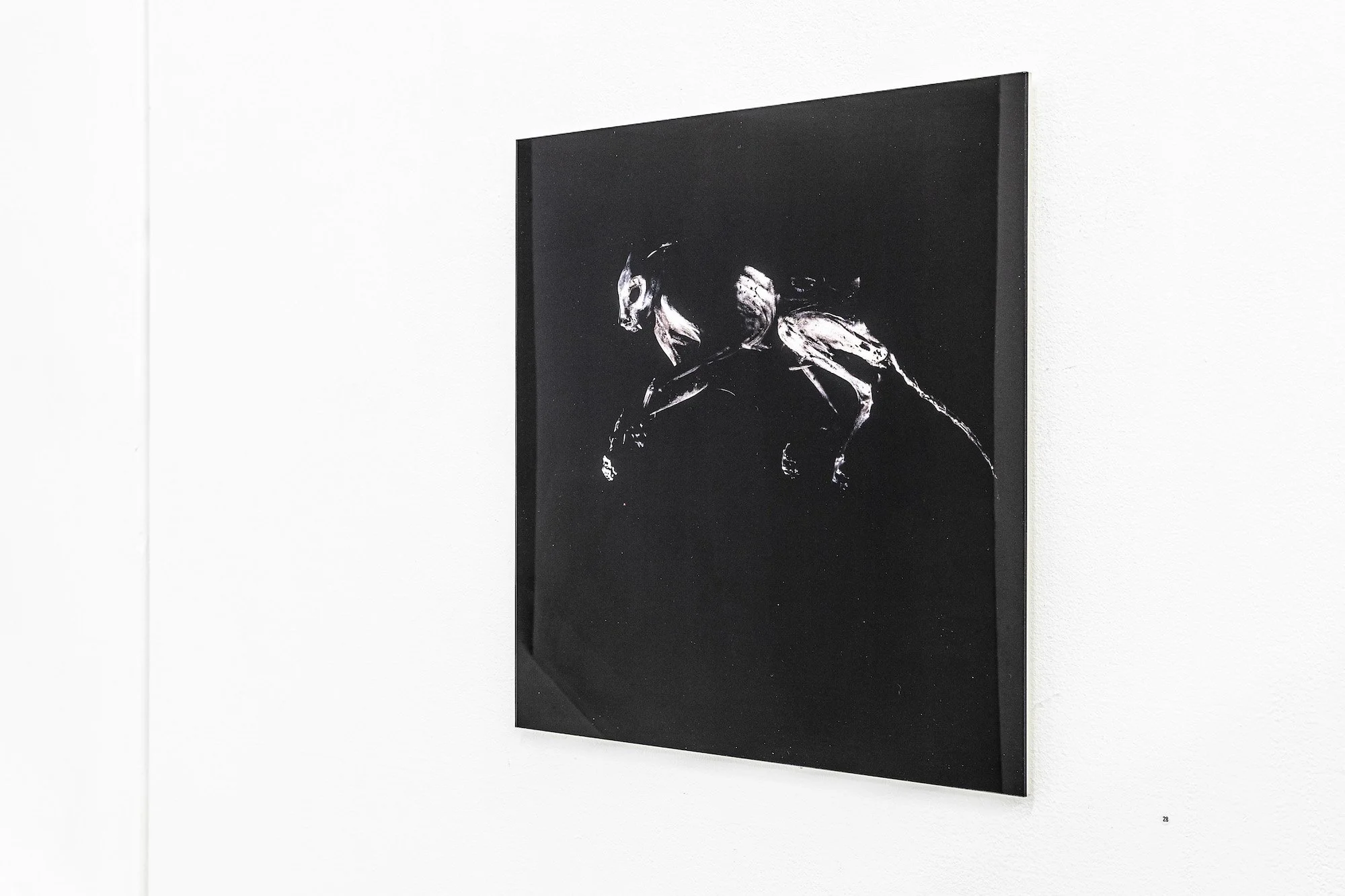 Marianne Engel, Katze, 2005