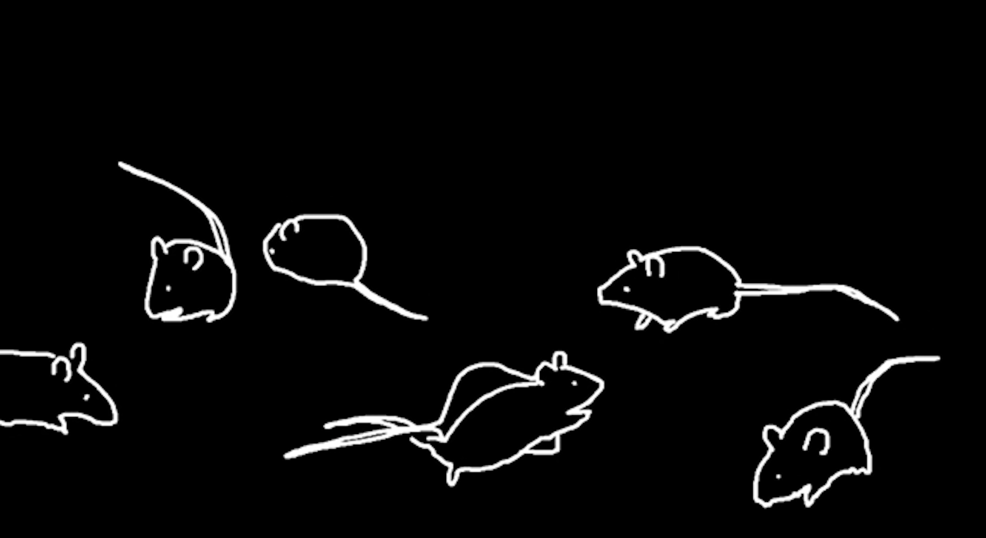 Gabriela Gerber & Lukas Bardill, 1000 Mäuse, 2020