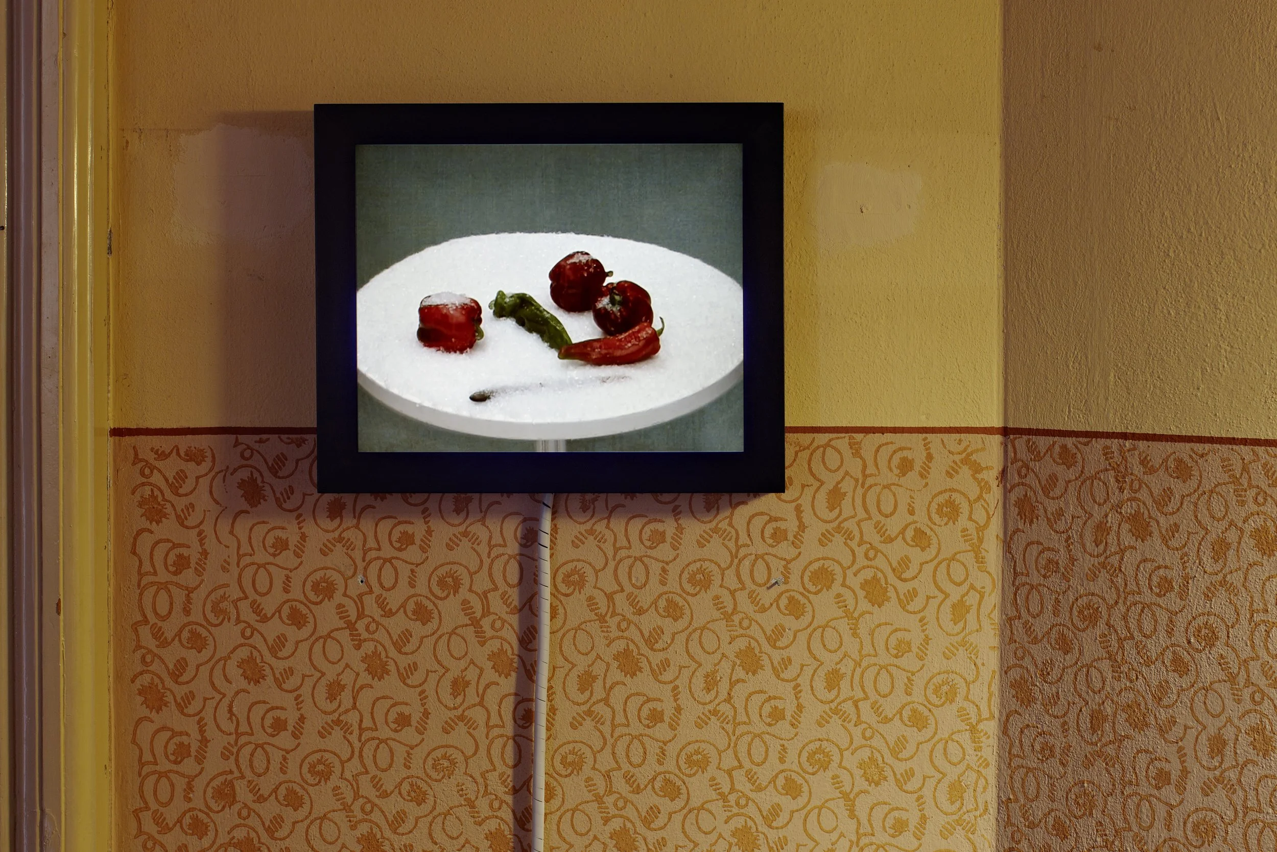 ArteHotelBregalia 2012, Judith Albert: ‹Peperoni›, 2009, Video DV Pal, 4:3, Farbe, ohne Ton, 16 min., Bild: © Ralph Feiner