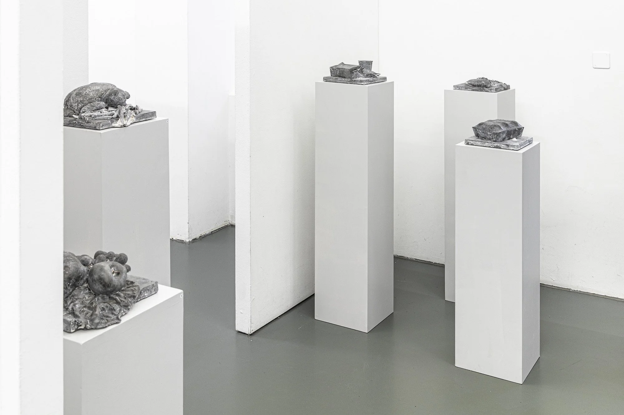 Dominik Zehnder, FoodWaste – natura morta, 2014